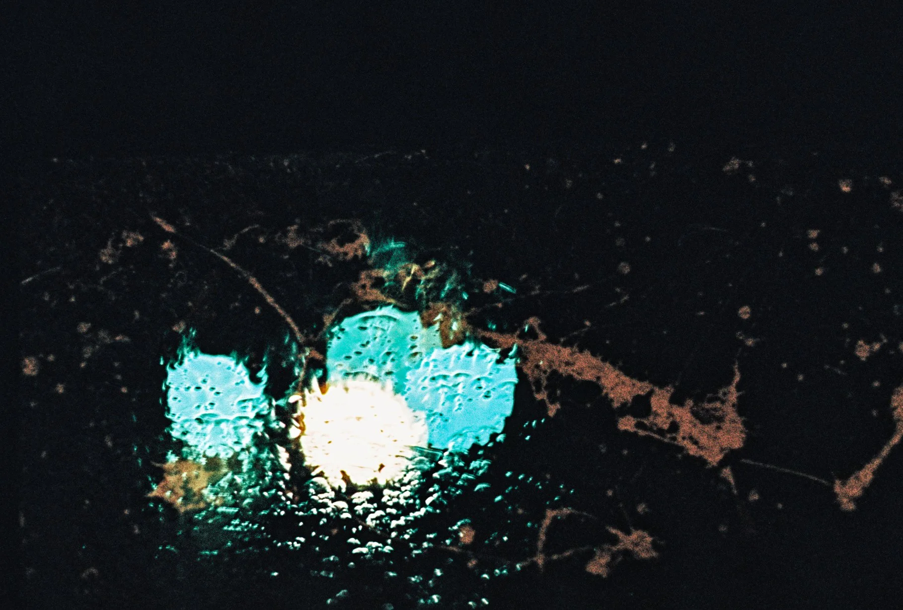 R1-07518-014A.jpg