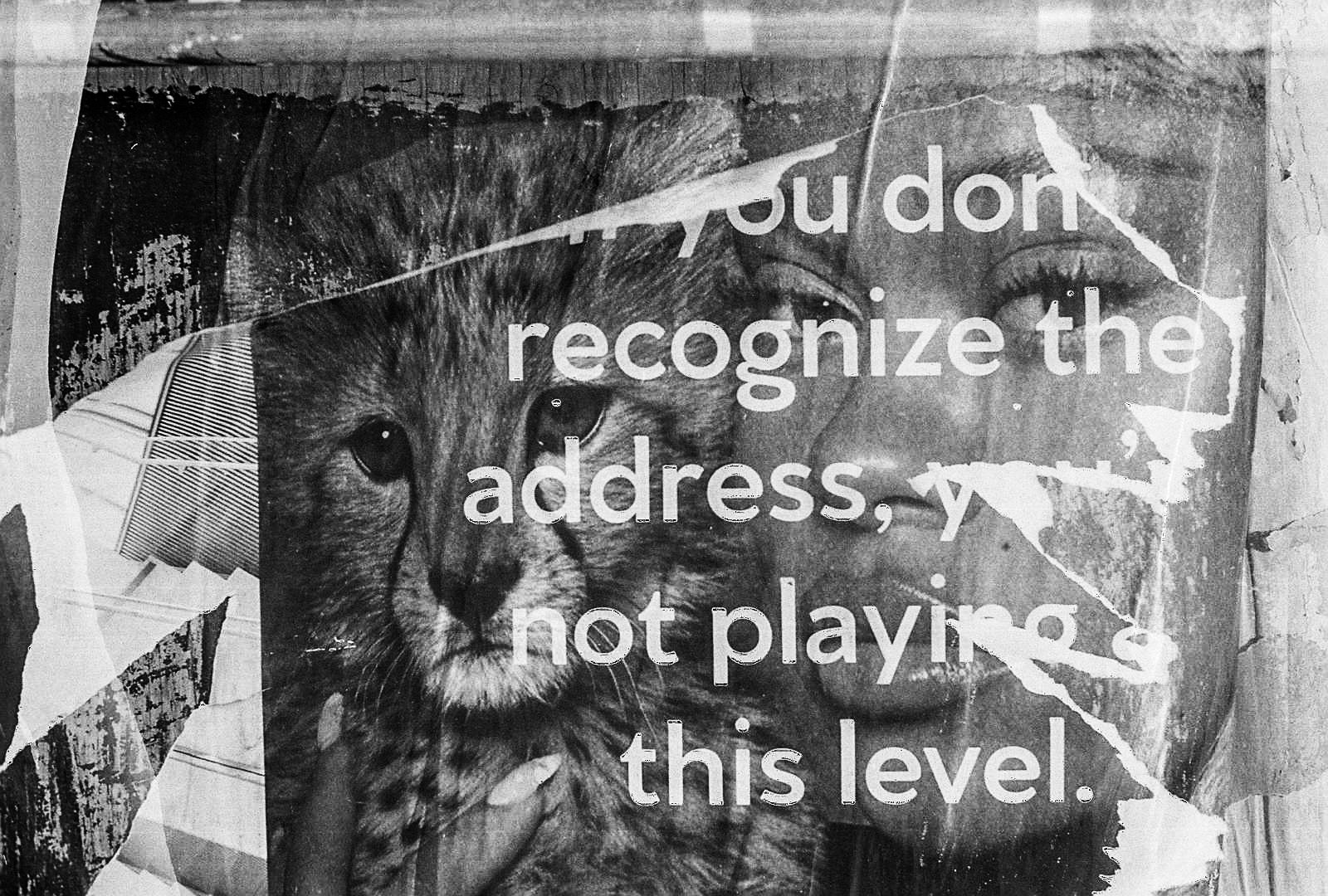 WhatsApp Image 2026-09-09 at 3.36.20 PM (5)-2.jpg