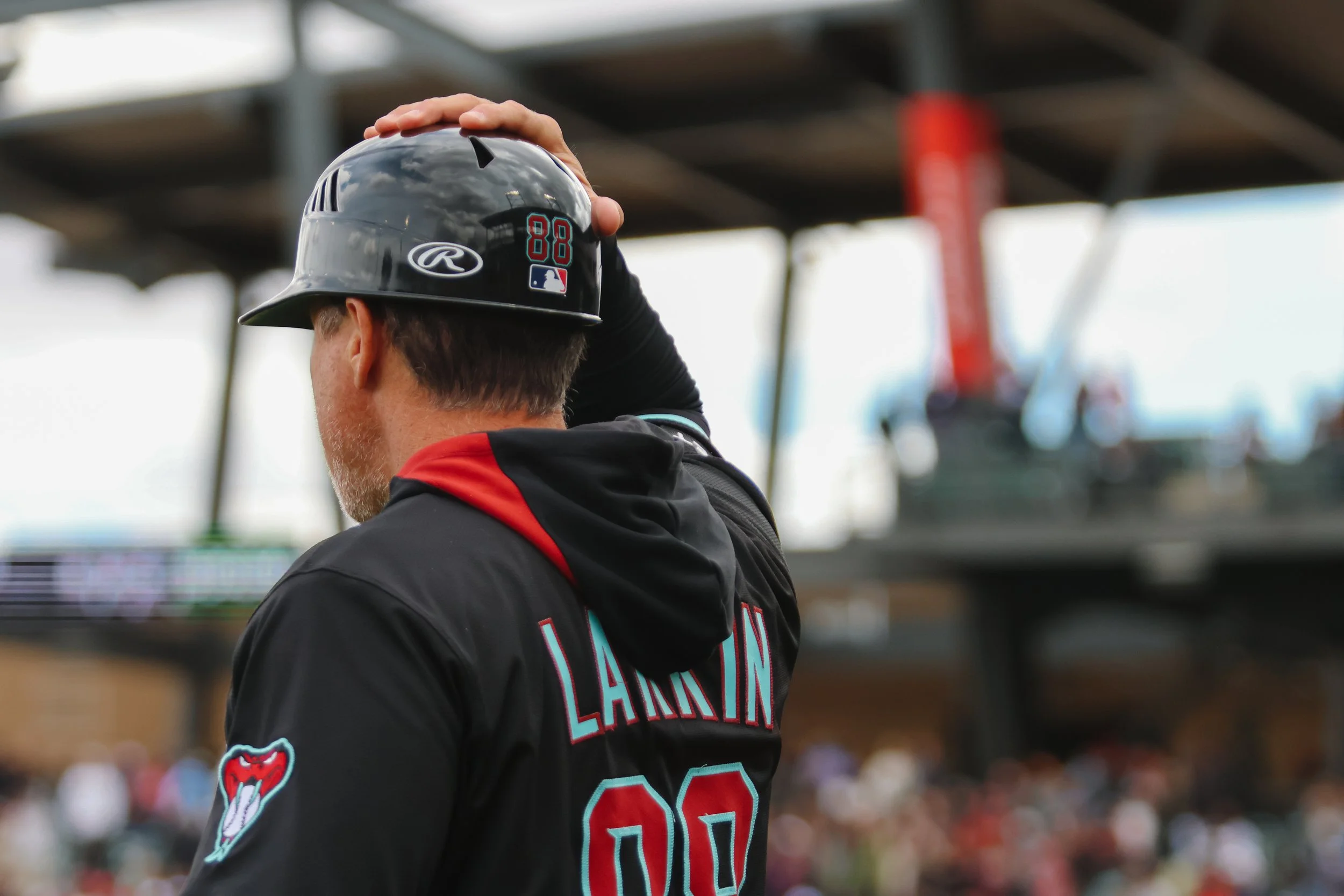 DBACKS-5.jpg