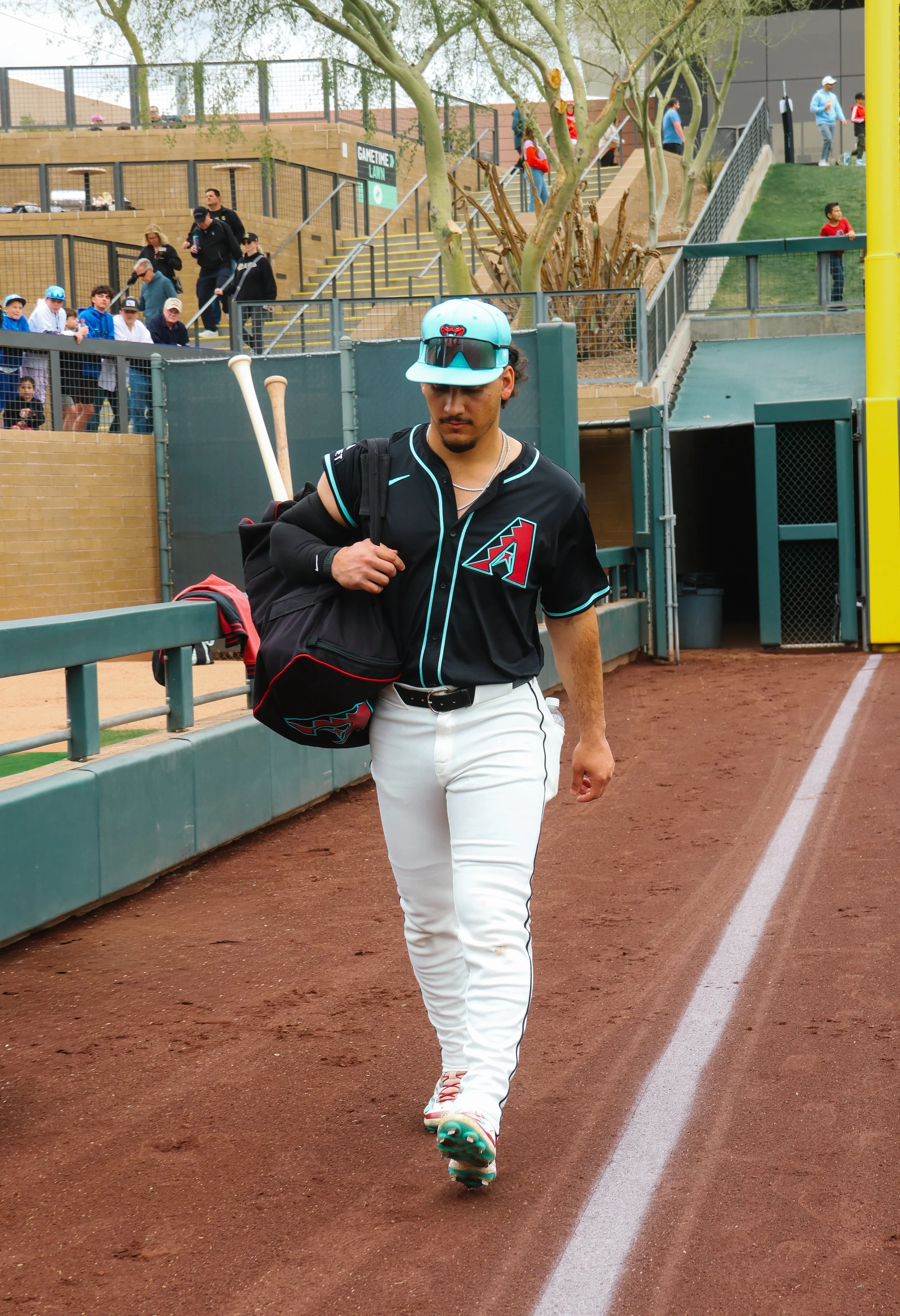 DBACKS-12.jpg
