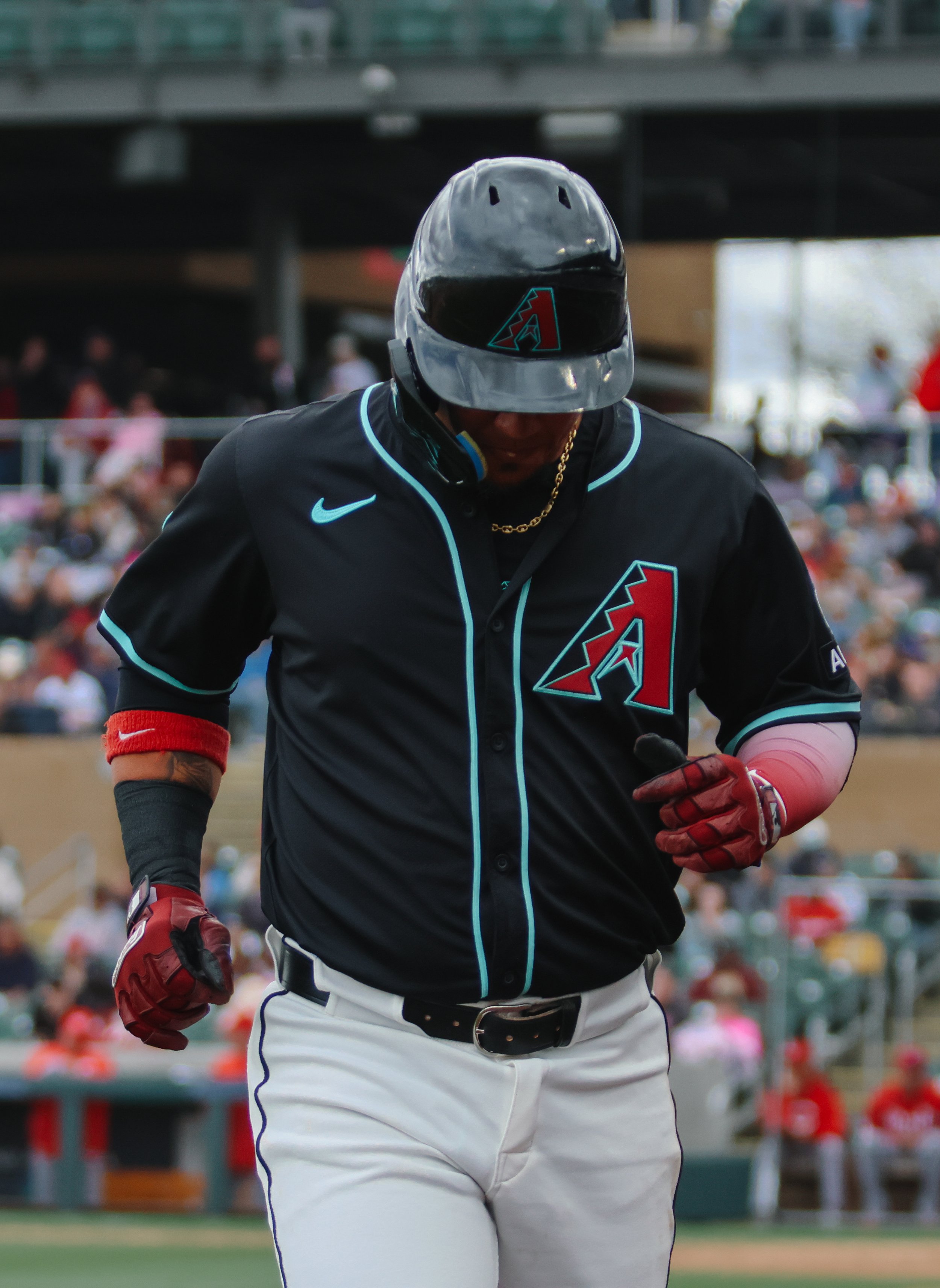 DBACKS-4.jpg