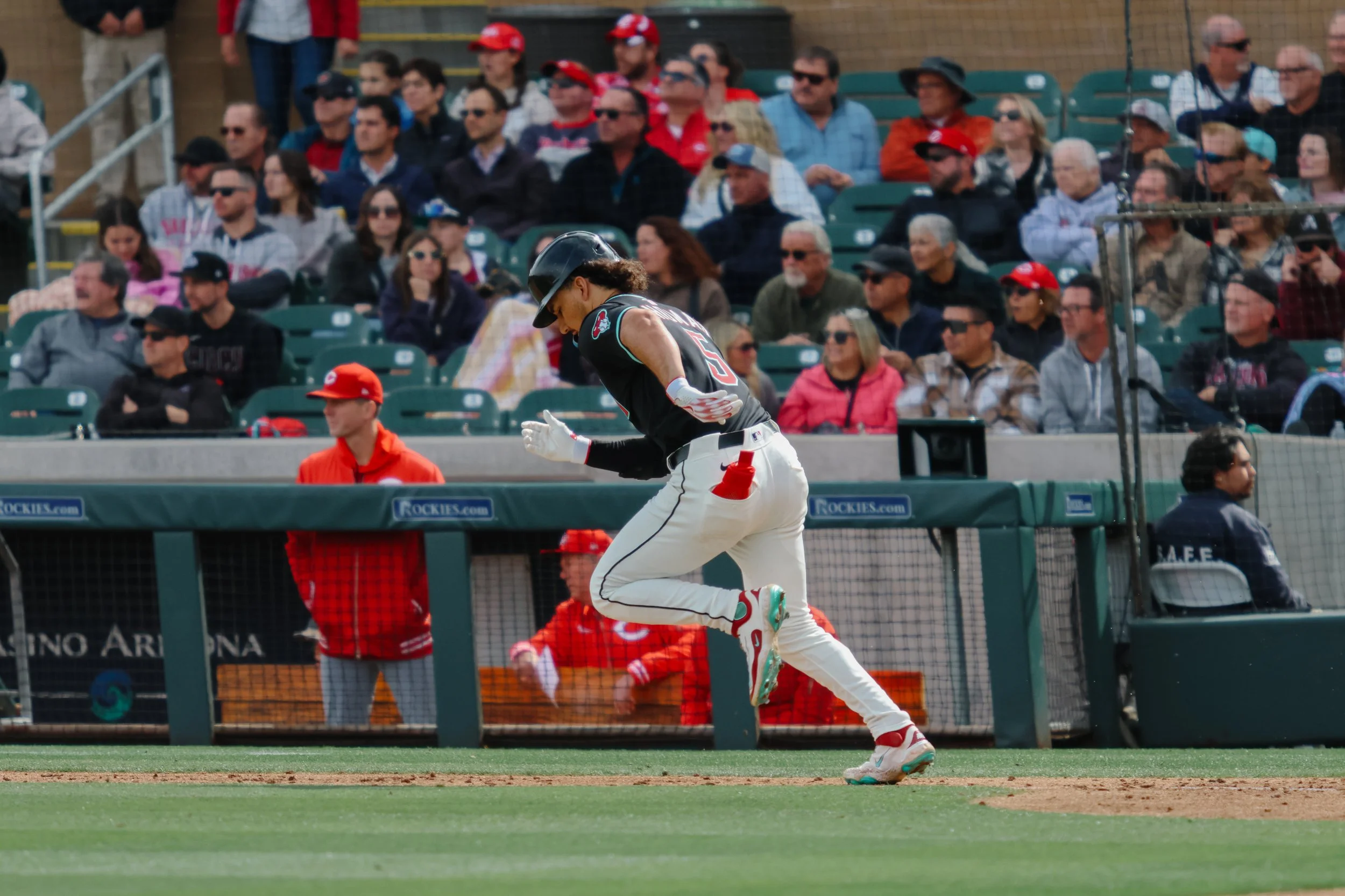 DBACKS-7.jpg