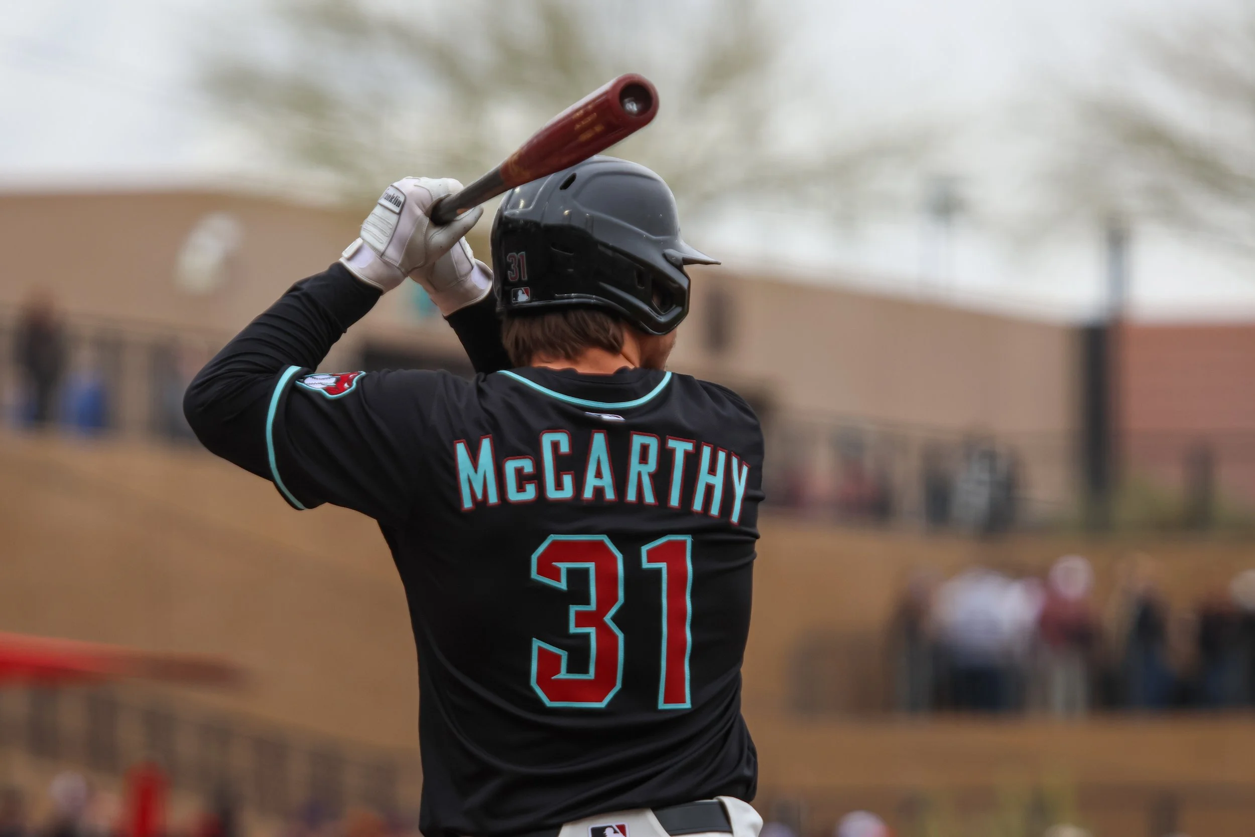 DBACKS-17.jpg