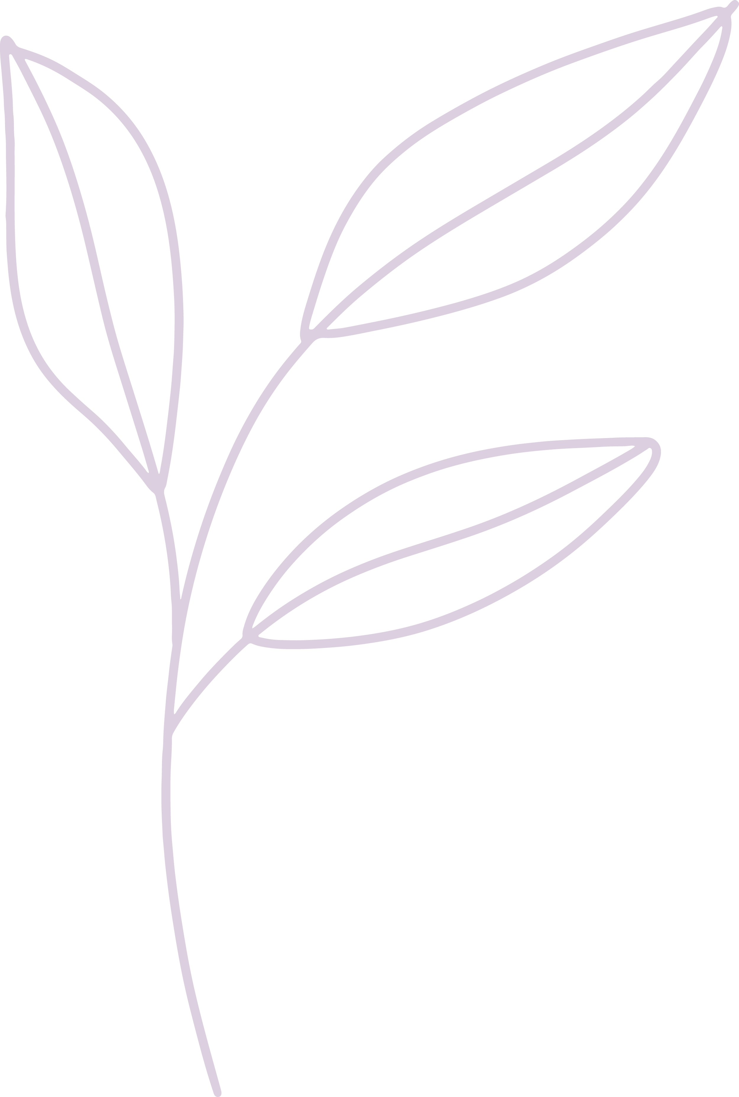 Outline drawing of a plant with multiple elongated leaves and a thin stem on a black background.