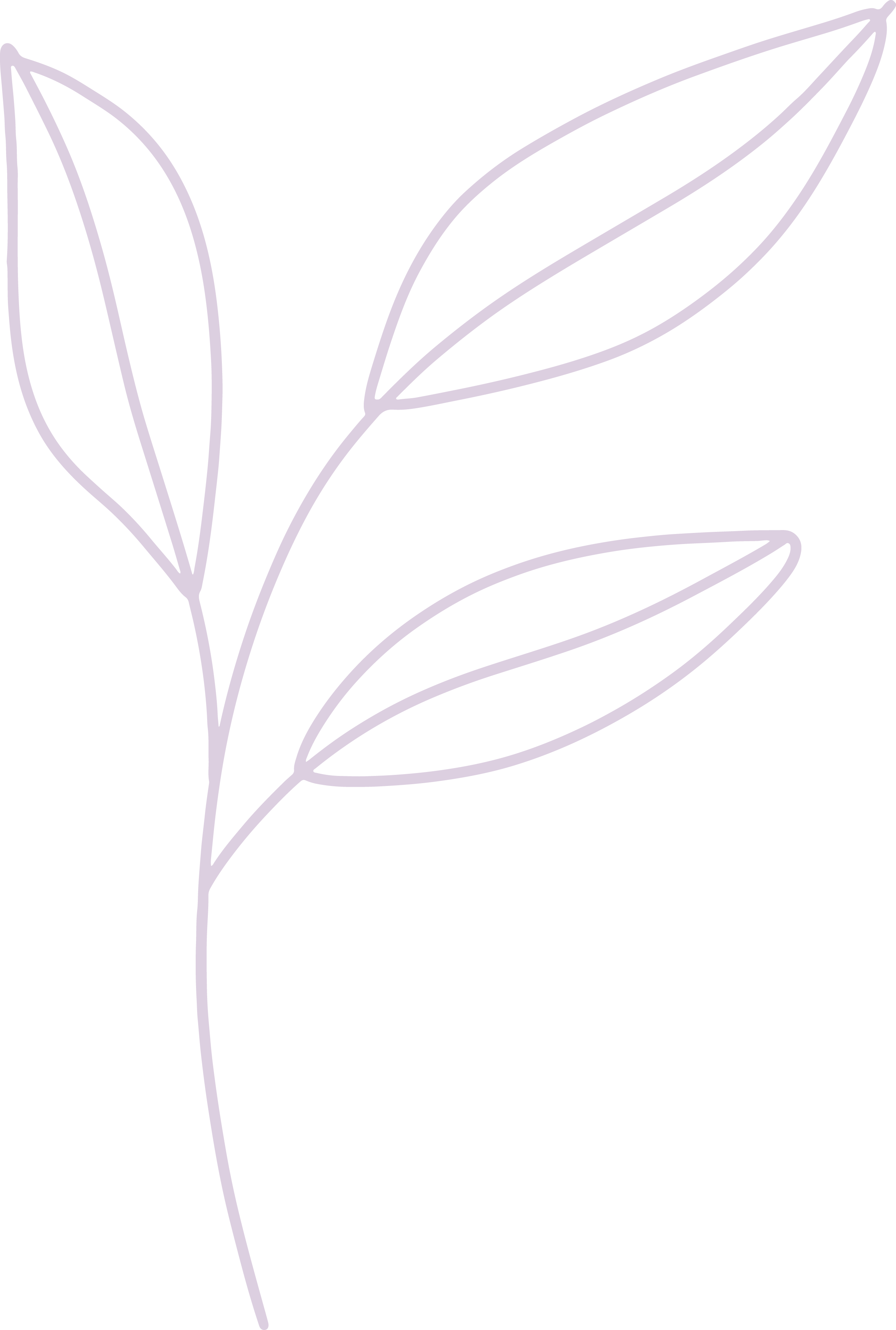 Outline drawing of a branch with leaves on black background.