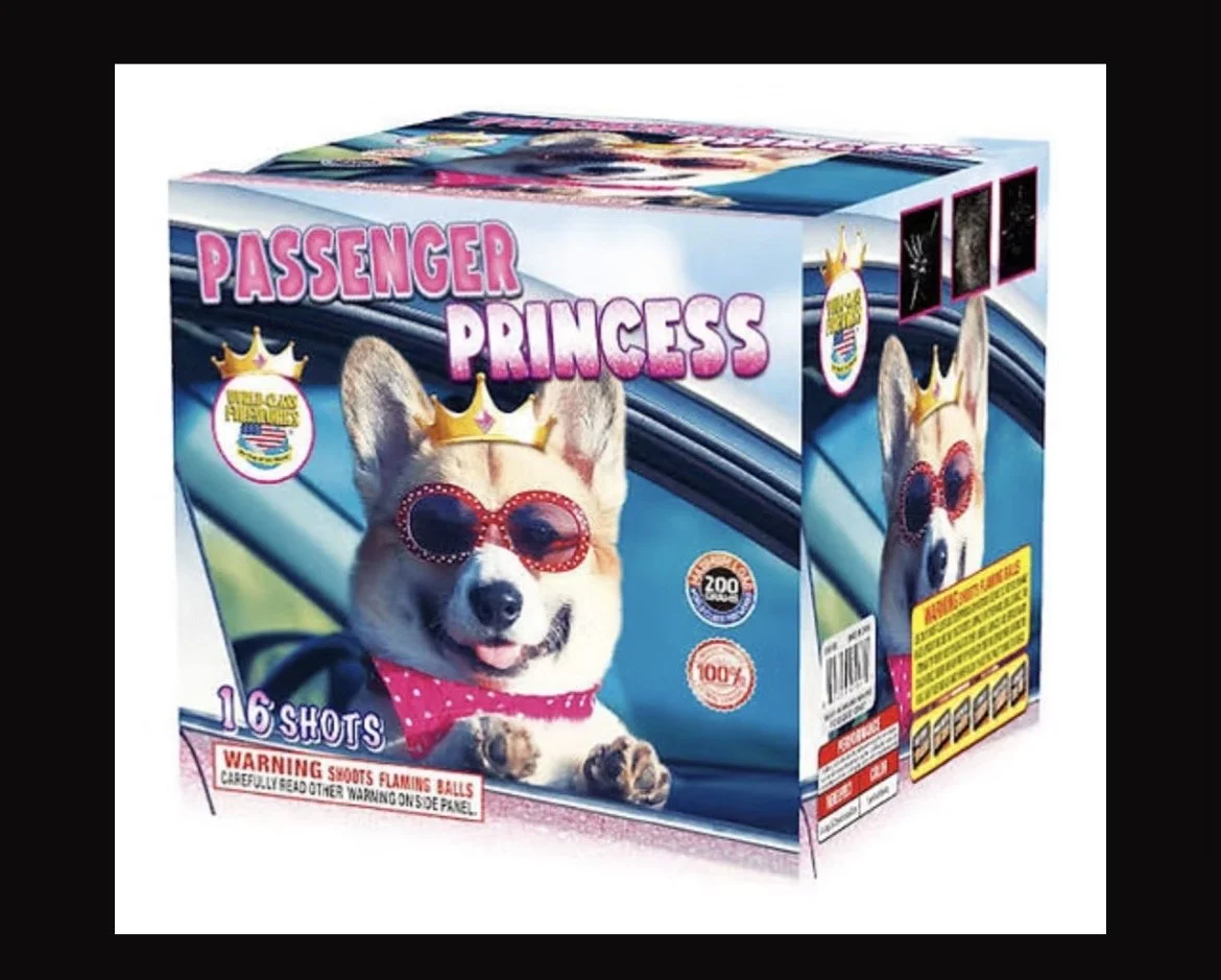 PASSENGER PRINCESS