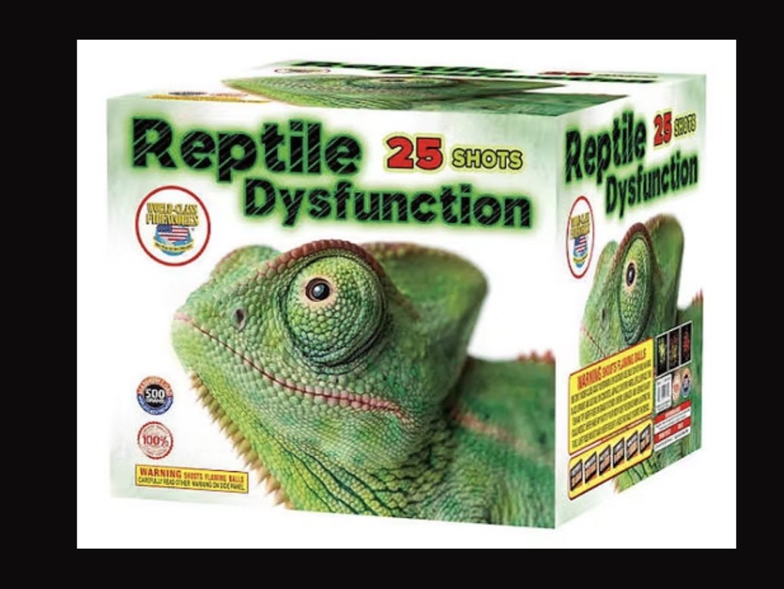 REPTILE DYSFUNCTION