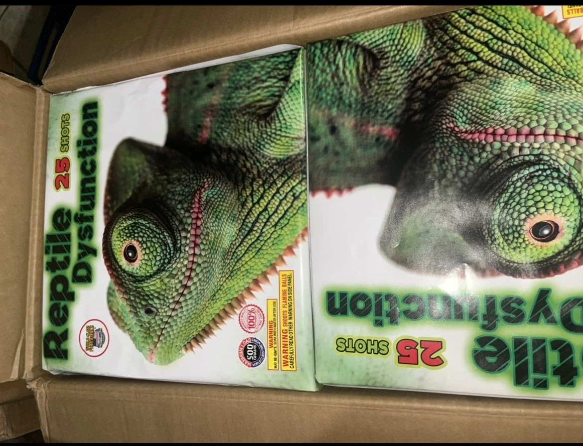 REPTILE DYSFUNCTION CASE 4/1