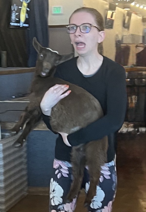 Kelly walking toward the camera while holding a small goat. Both kelly and the goat have shocked/concerned facial expressions.