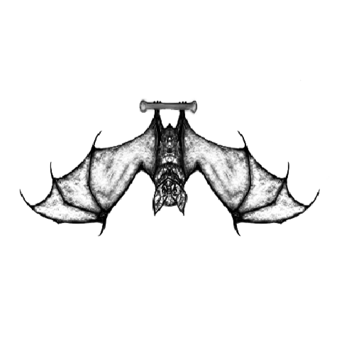 Layer_1+2.png