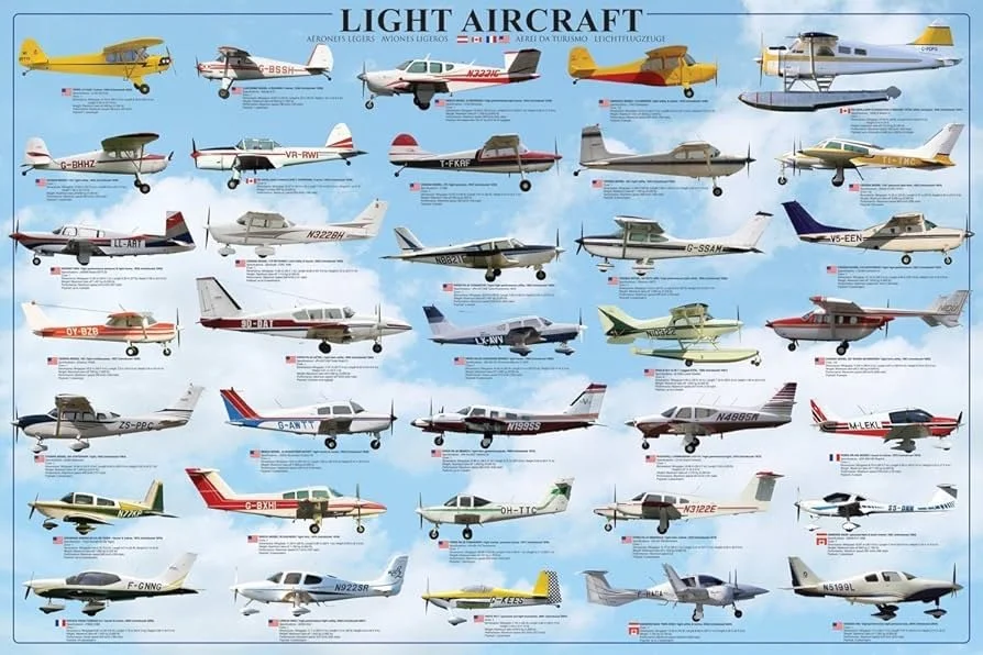 photo from Amazon poster of many different makes and models of light aircraft