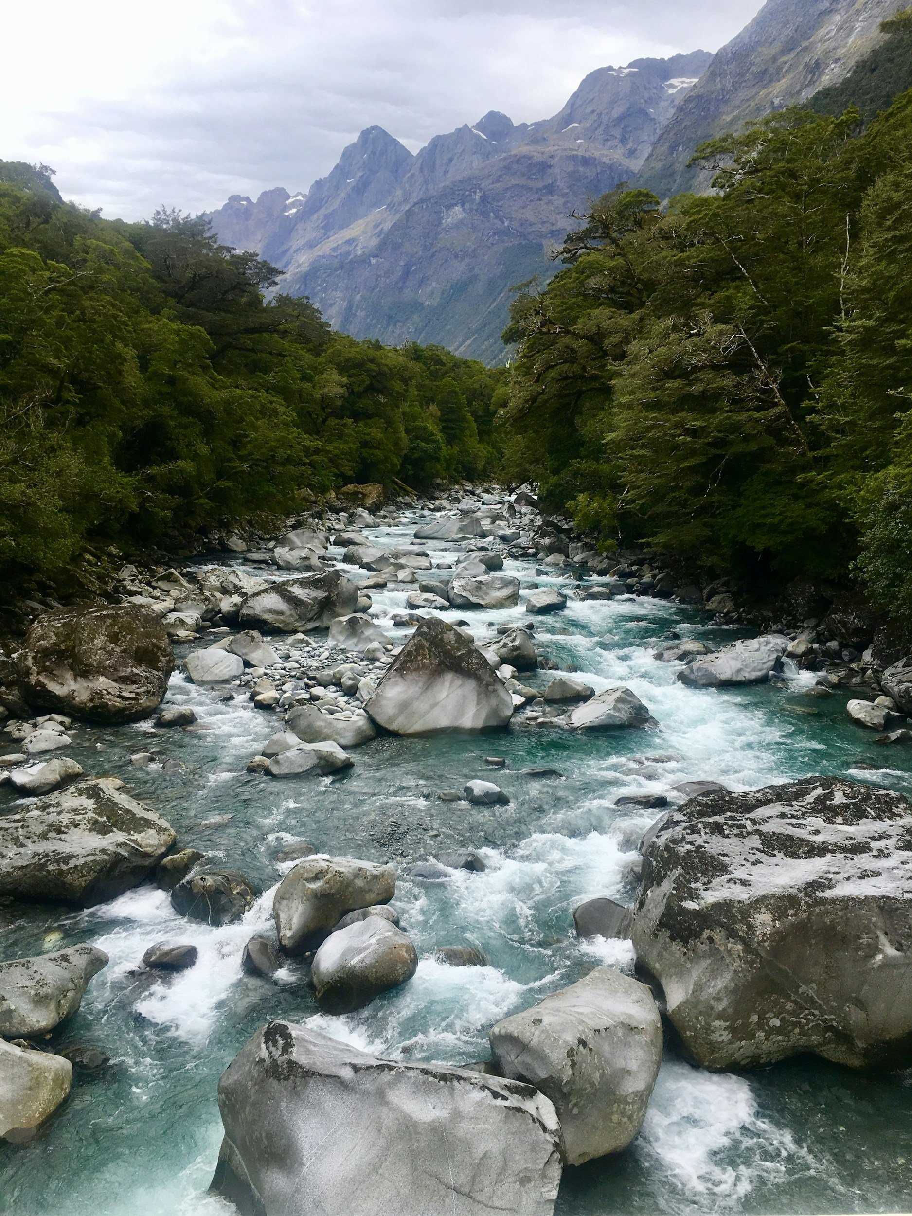A rushing river flowing through a rocky riverbed surrounded by dense green trees with tall mountainous terrain in the background.