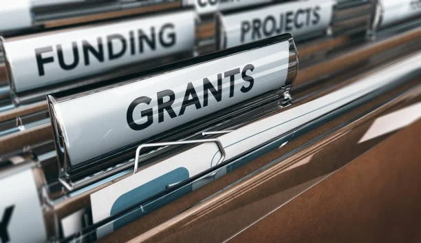 Navigating Local Government Grant Funding Amidst Council Reform