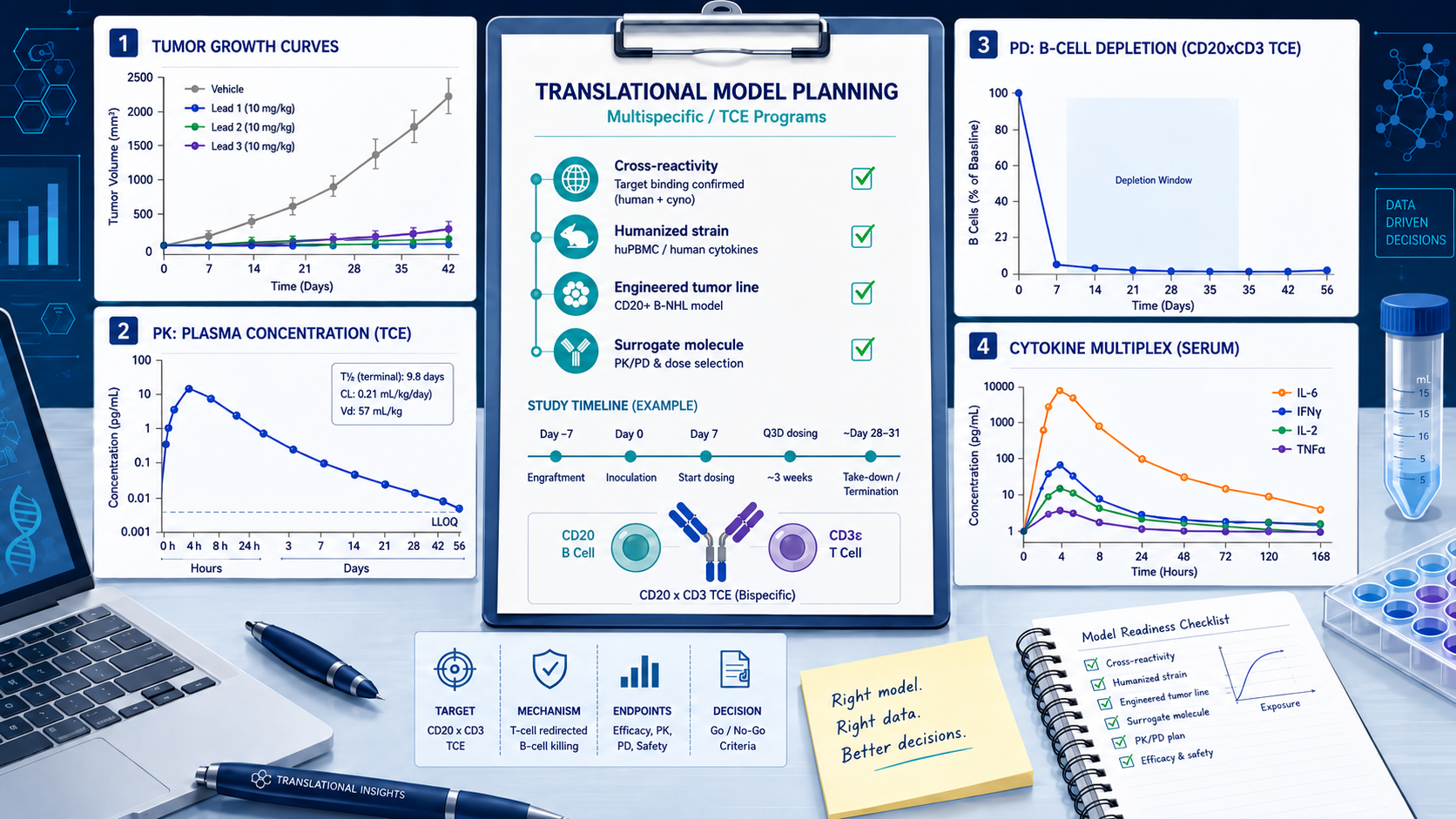 Start the Mouse Model Before Your Leads Are Ready