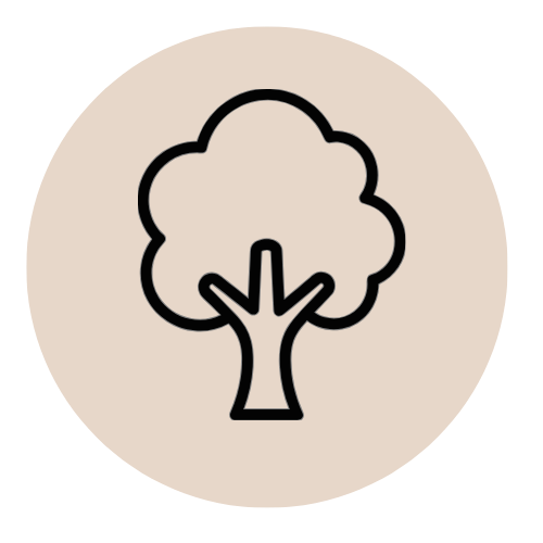 Icon of a tree with a simple outline and rounded canopy.