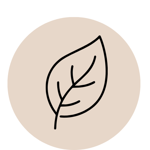 Simple black outline of a leaf within a beige circle.