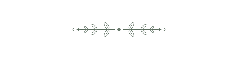 Decorative black and gray horizontal floral design with leaf motifs and central dot