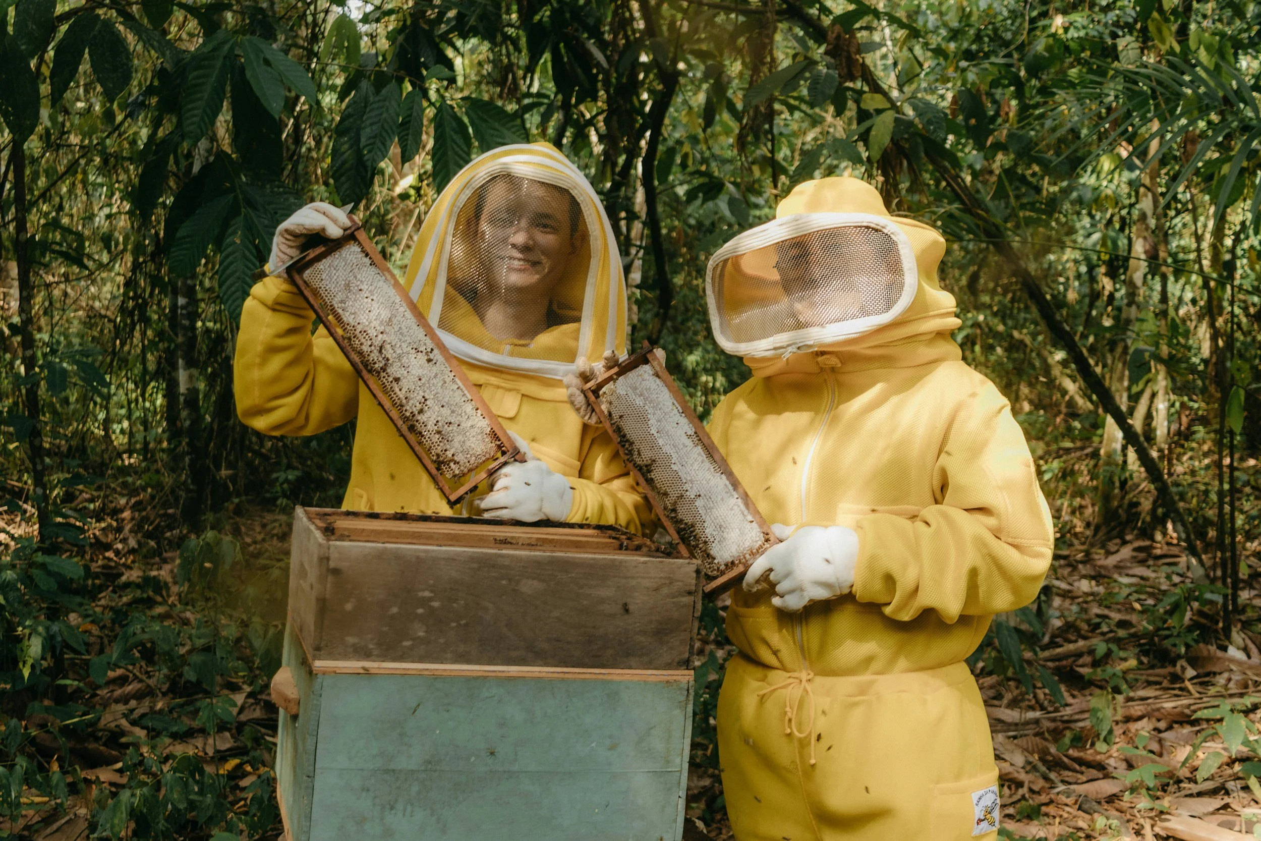 Two beekeepers dressed in yellow protective suits and veils inspecting a honeycomb frame over a wooden hive in a forest.