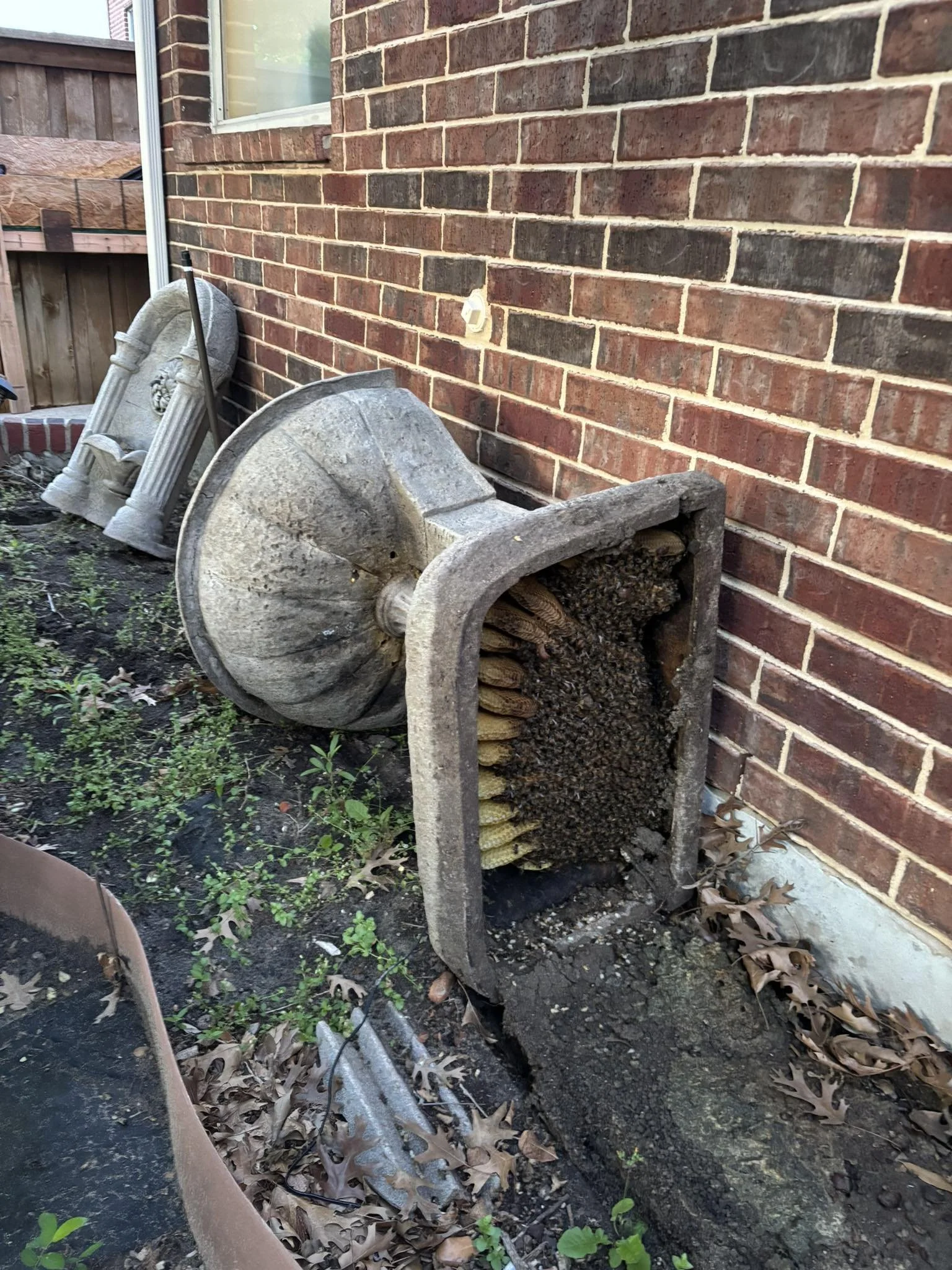 A brick house wall with a large, toppled stone bird bath lying on the ground, surrounded by small green plants and dry fallen leaves.