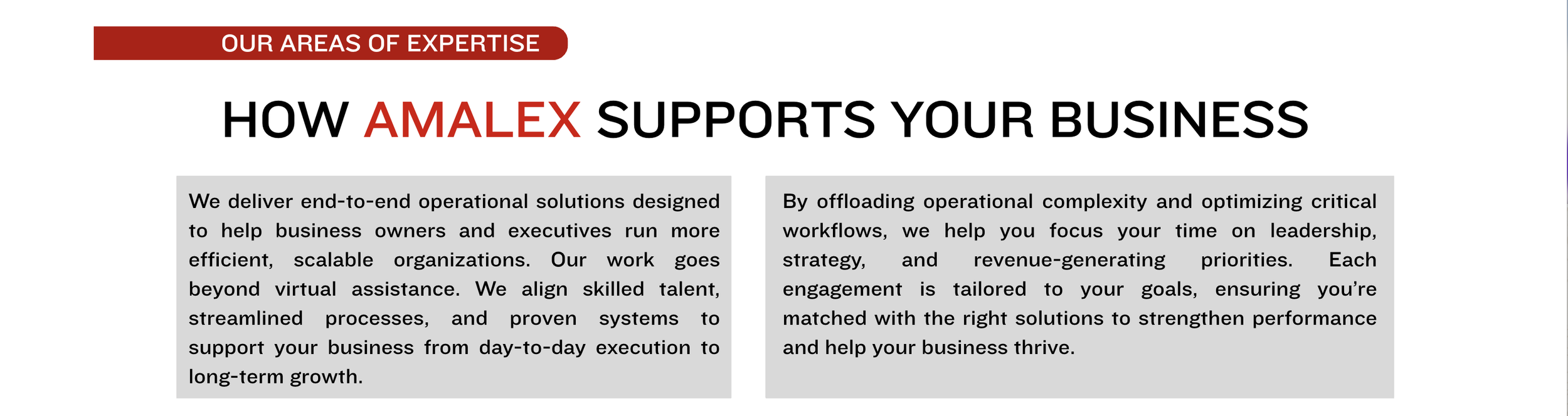 A graphic with the title "Our Areas of Expertise" and the heading "How Amalex supports your business". It contains two paragraphs explaining services: delivering end-to-end operational solutions for business owners and executives, and offloading operational complexity to focus on leadership and strategy.