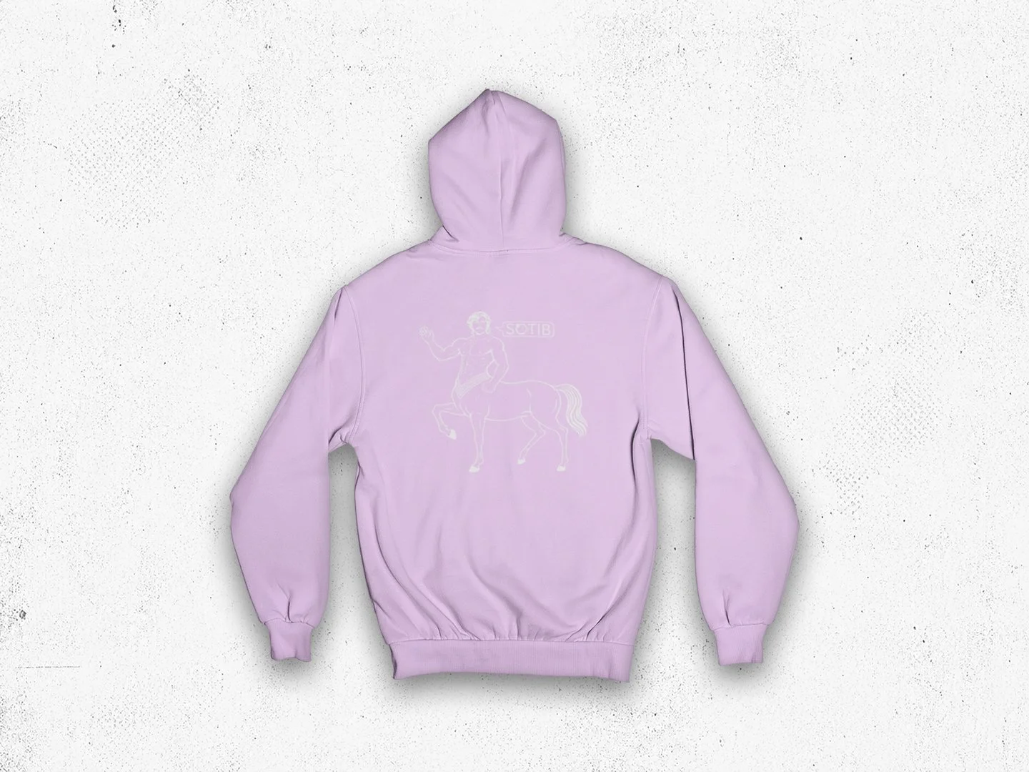 centaur hoodie back.jpg