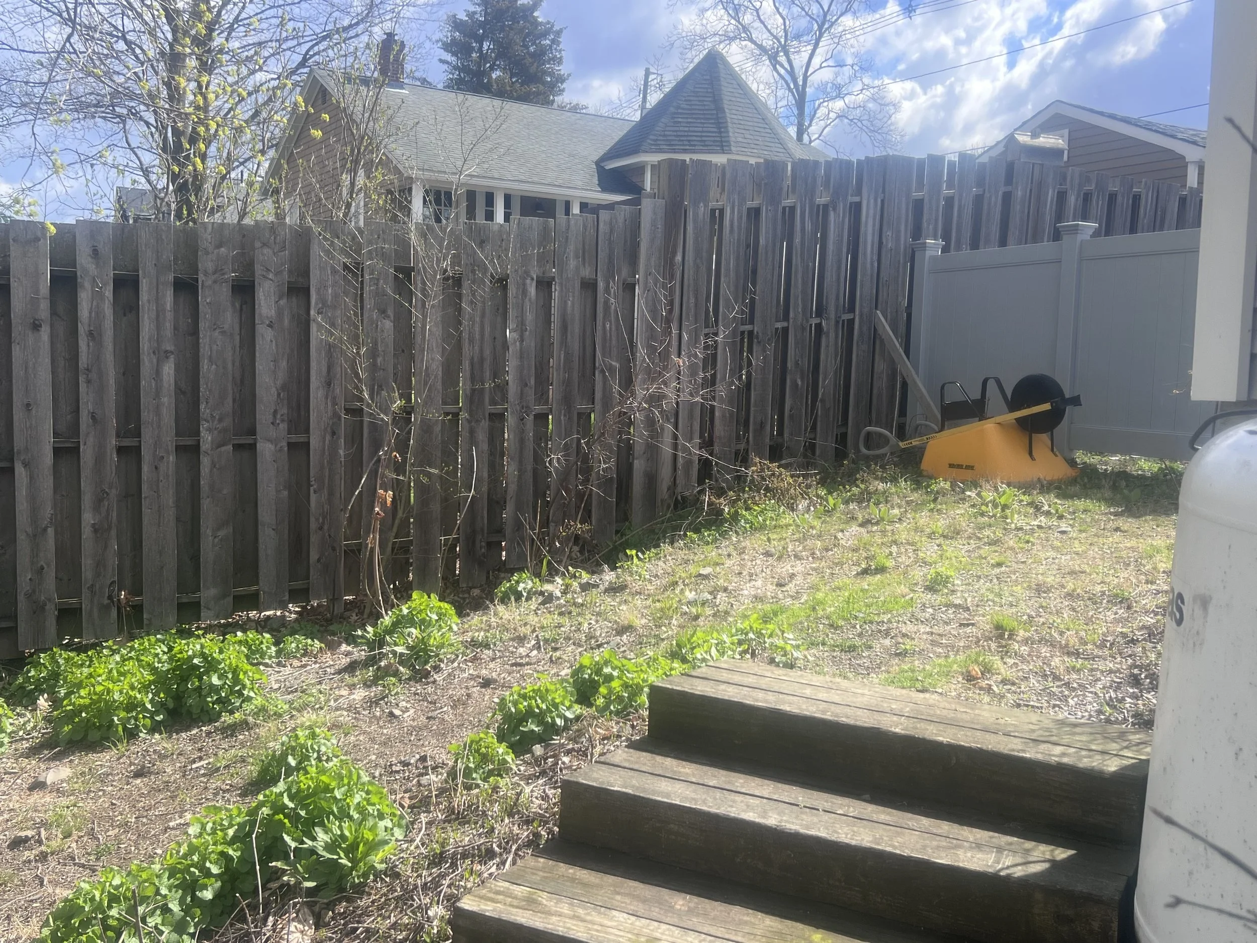 Backyard before renovation showing patchy lawn and overgrown planting areas.