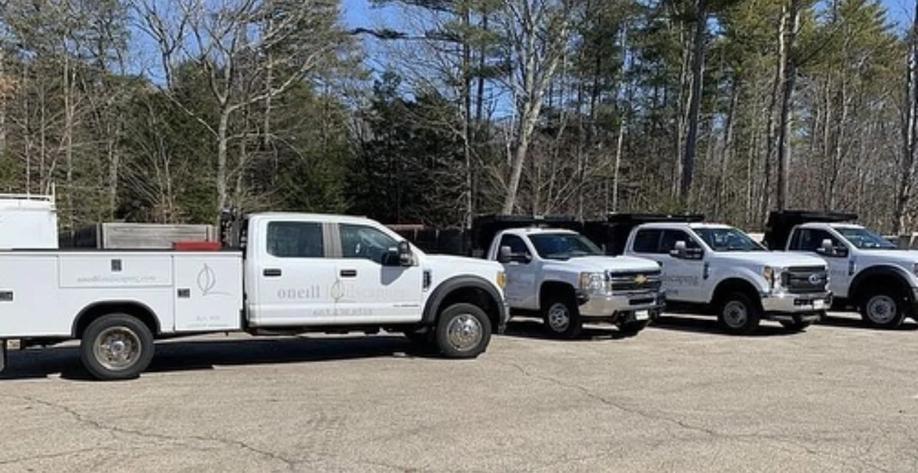 A lineup of white utility trucks parked on a paved lot with trees in the background.