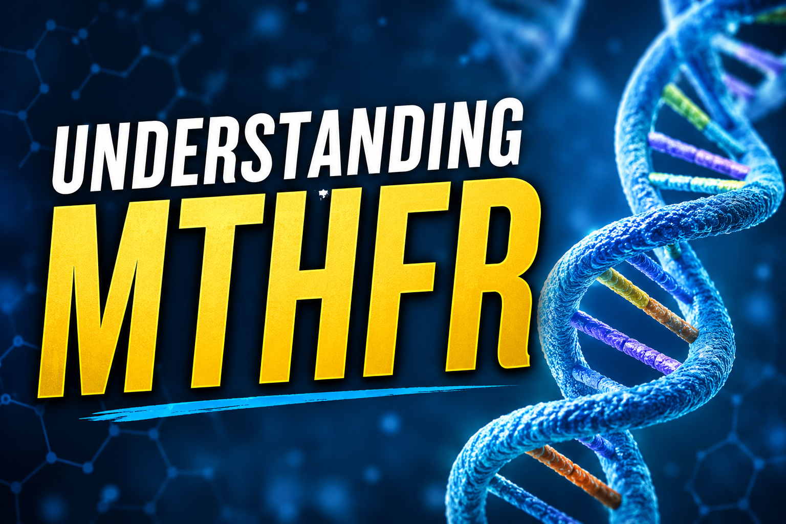 Understanding MTHFR - Emailed Summary Support