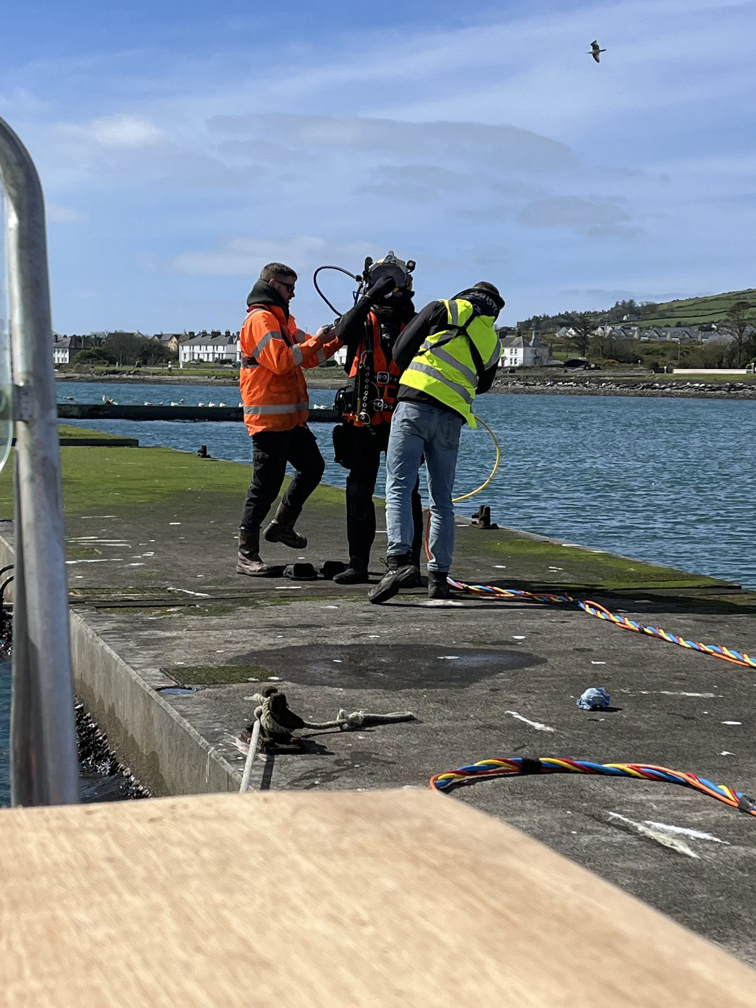 Three workers at a waterfront, one with diving equipment, two wearing high-visibility jackets, with a seagull flying overhead and a residential area in the background.