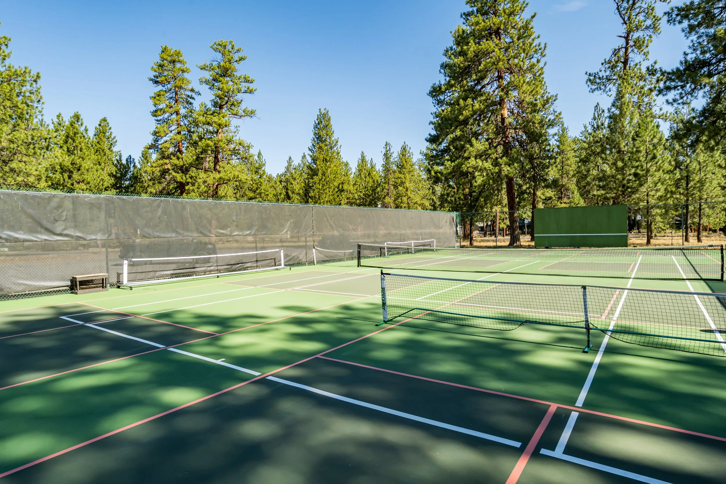 Empty outdoor tennis courts with green surface, surrounded by tall pine trees and a clear blue sky.