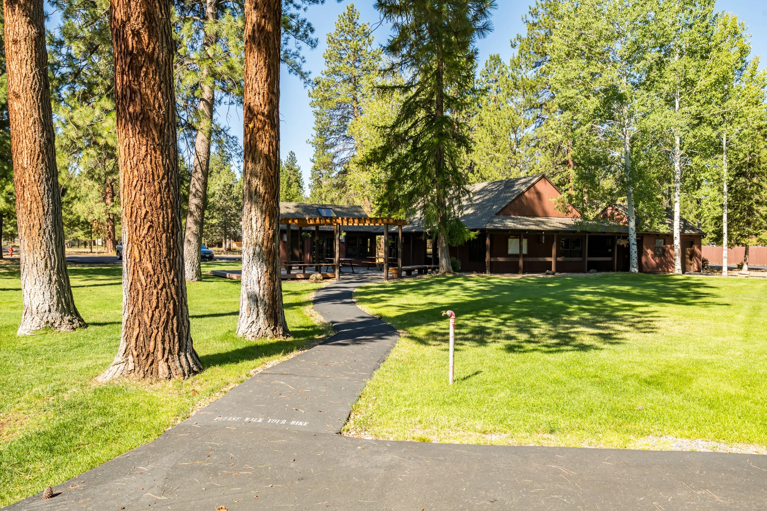 A park with tall pine and aspen trees, a paved pathway leading to a brown building with a deck, surrounded by green grass and sunny weather.