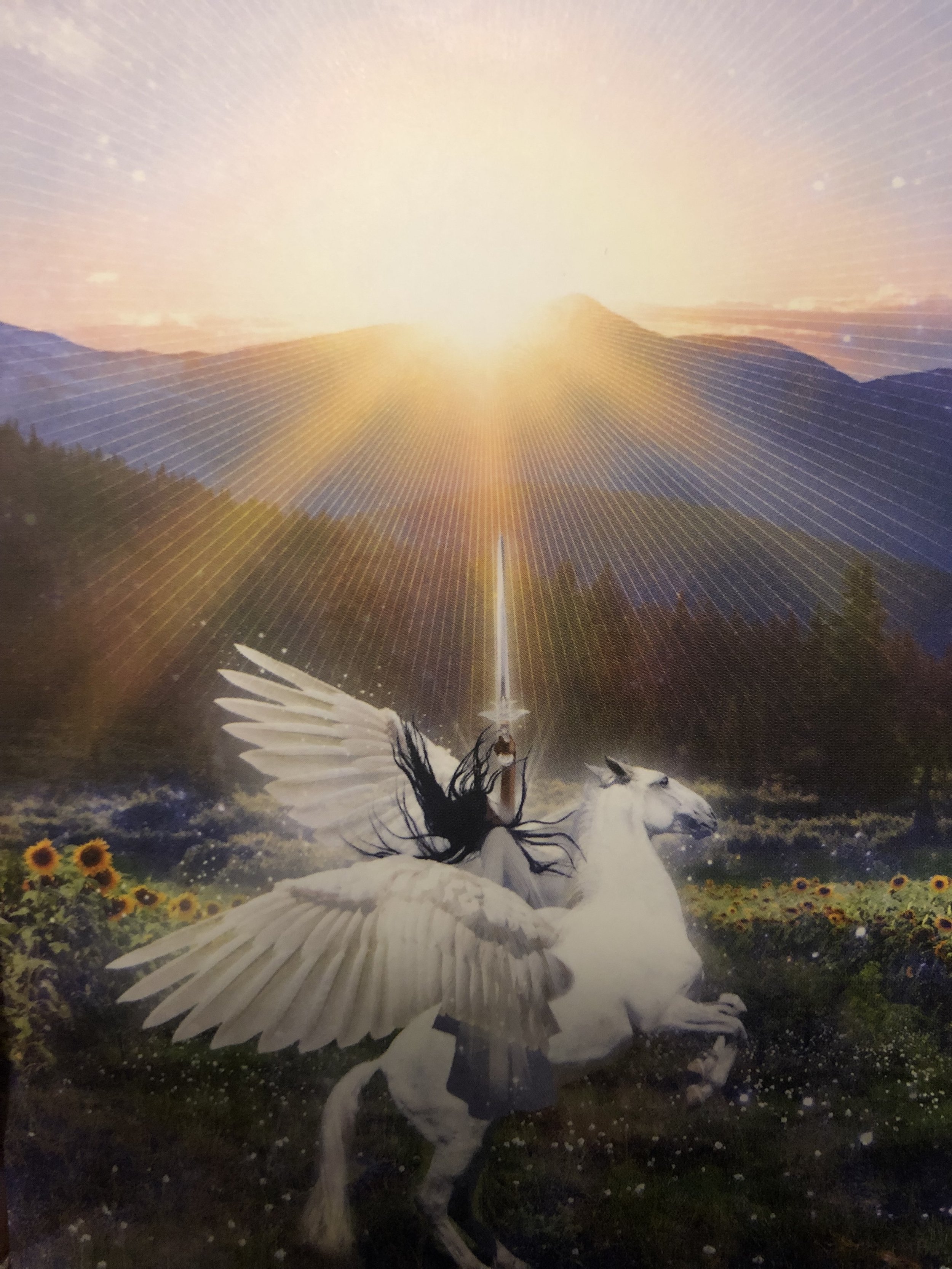 A fantasy illustration featuring a white unicorn beneath a large, majestic pegasus with expansive wings, set against a background of a glowing sunrise over mountains and fields of sunflowers.