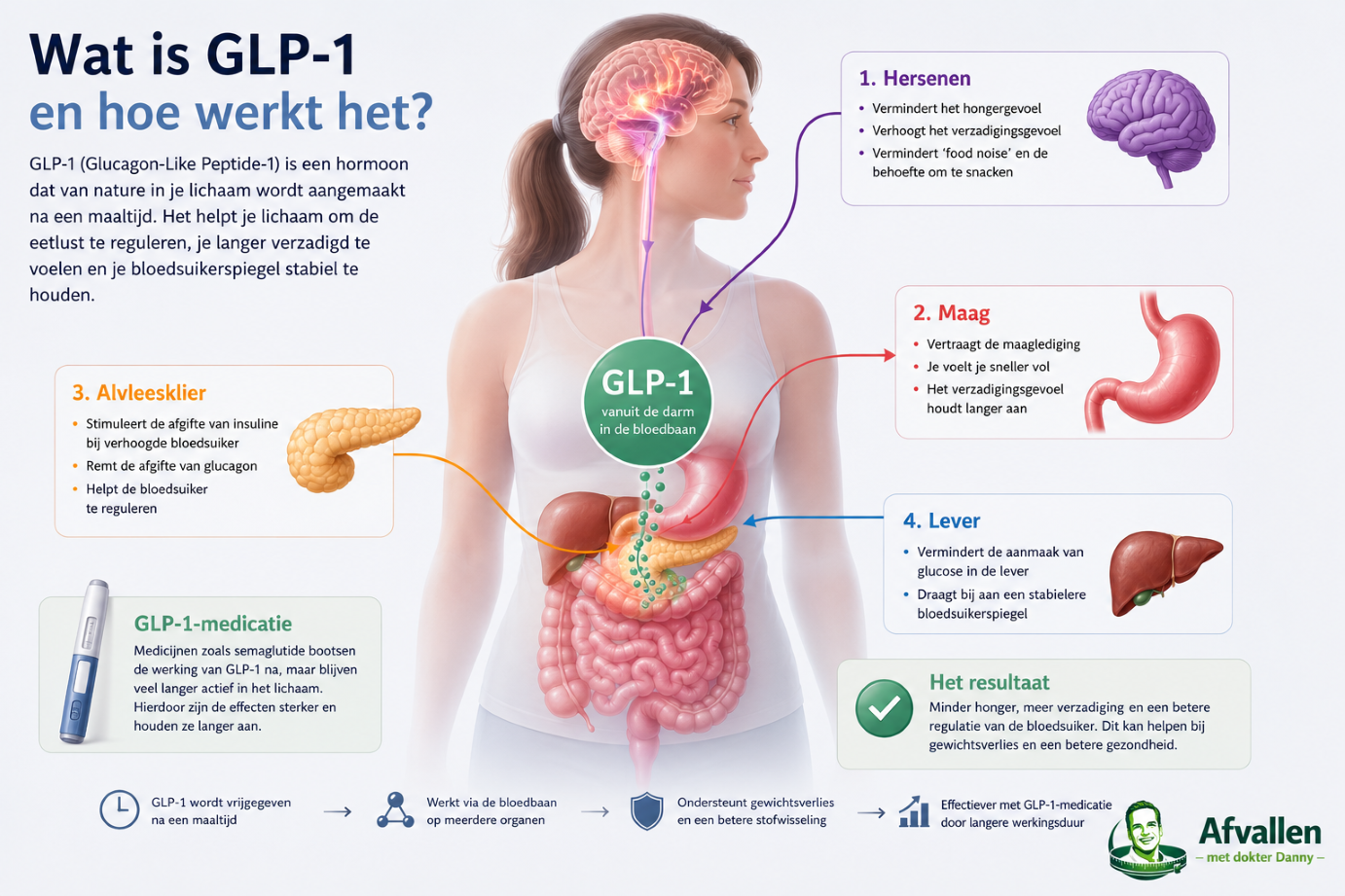 Wat is GLP-1 en hoe werkt het?