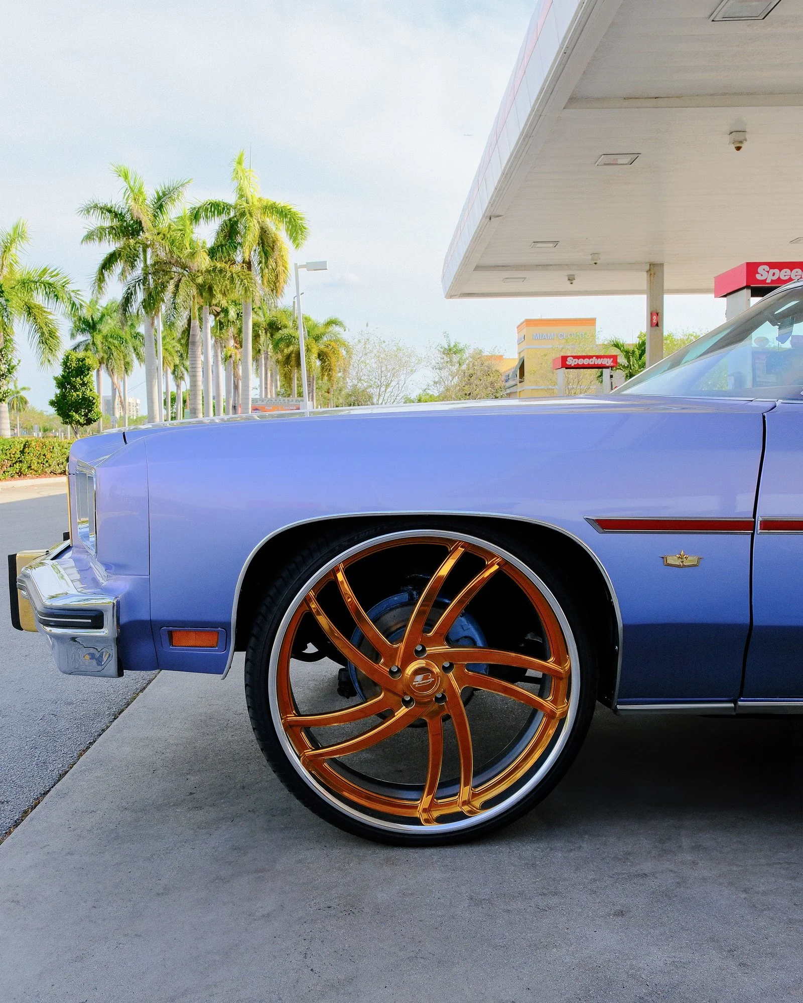 Donk Riders