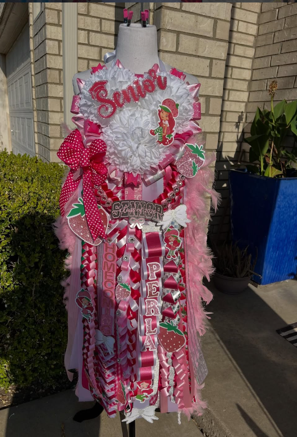 StrawBerry Shortcake Hoco Mum.