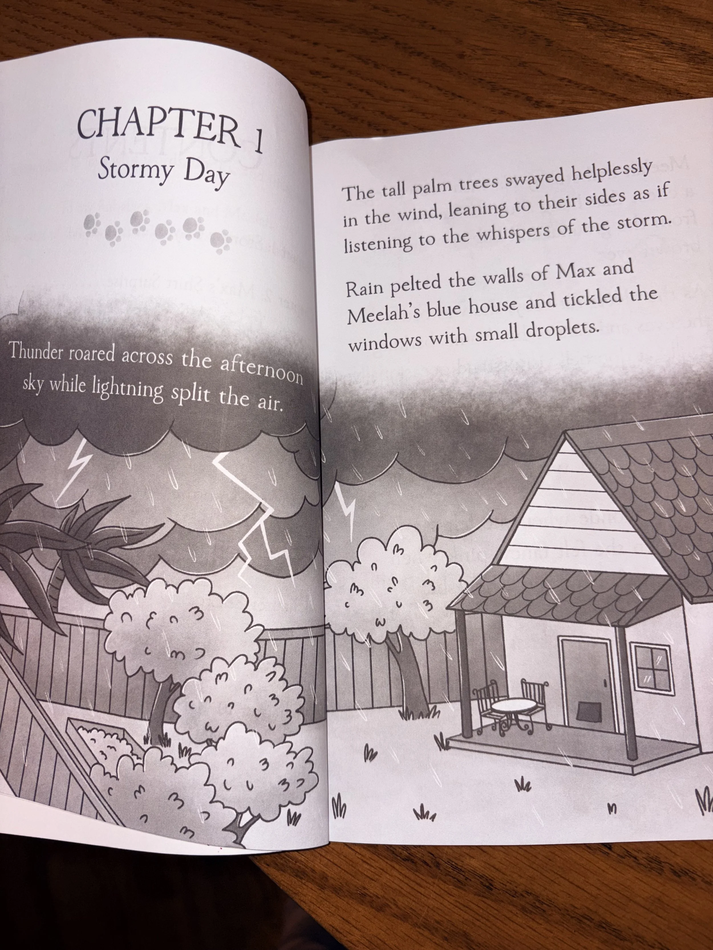 chapter 1.jpeg