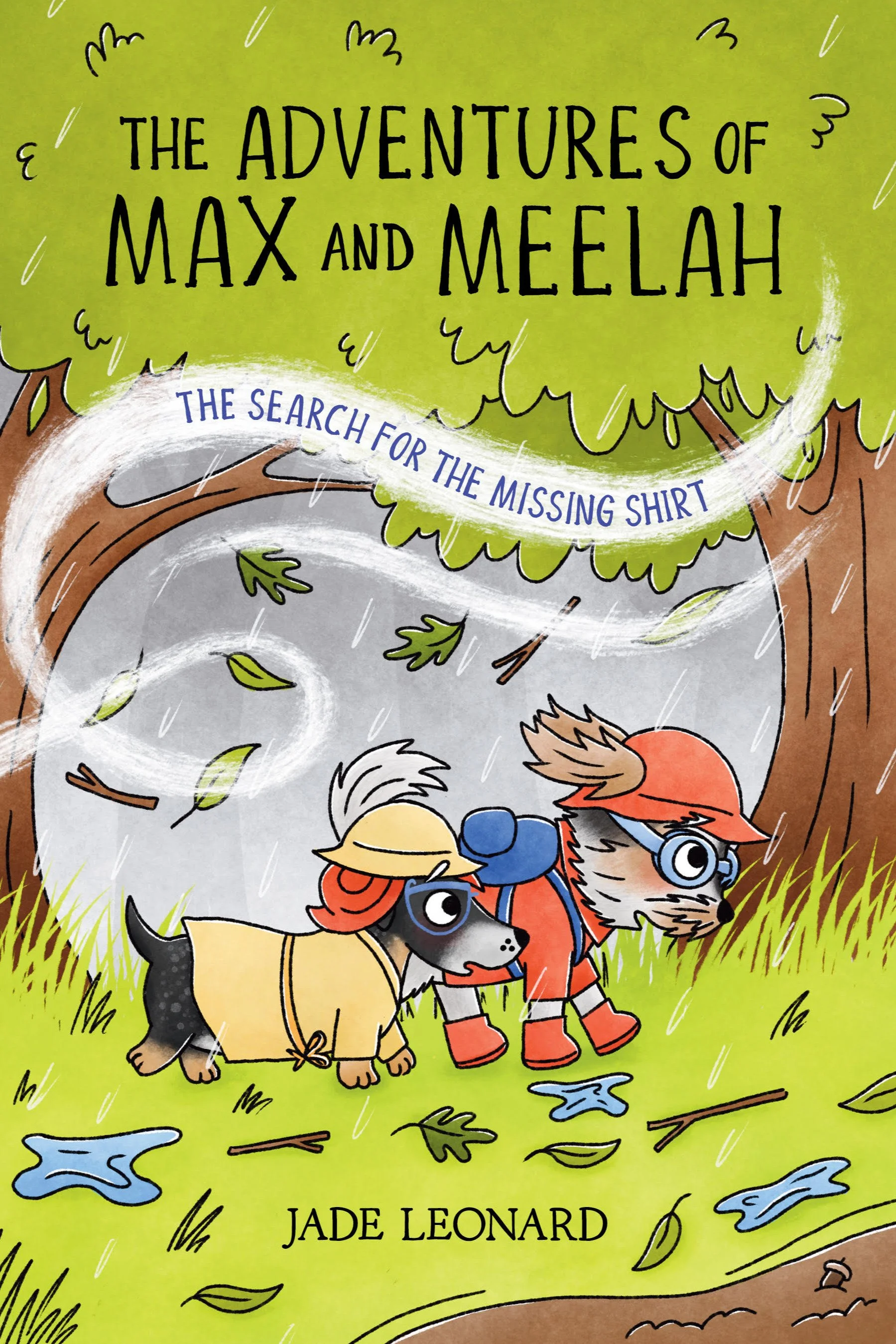 The Search for the Missing Shirt (Hardcover)