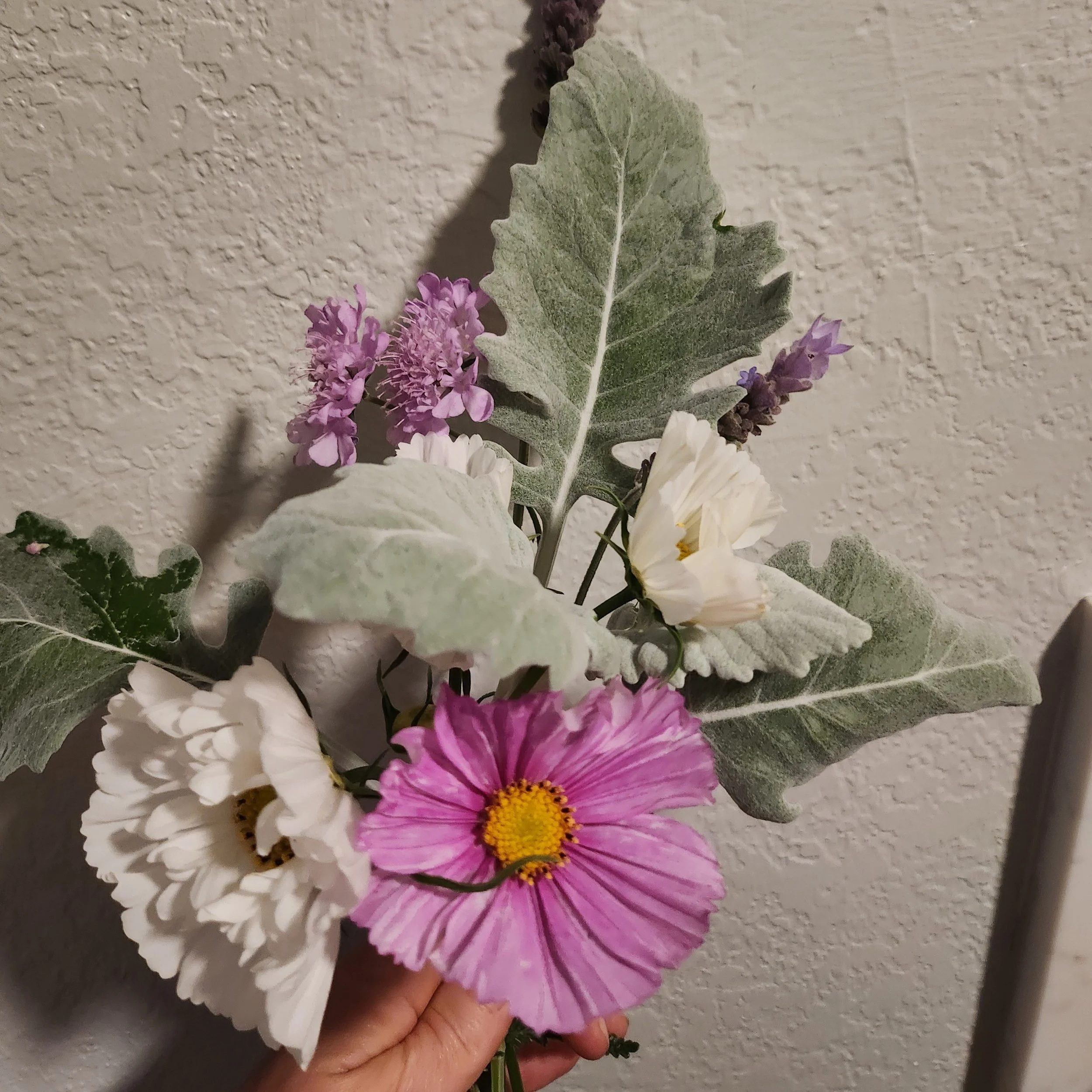 A hand holding a small floral arrangement against a textured wall, featuring purple, white, and pink flowers, along with green and gray leaves.