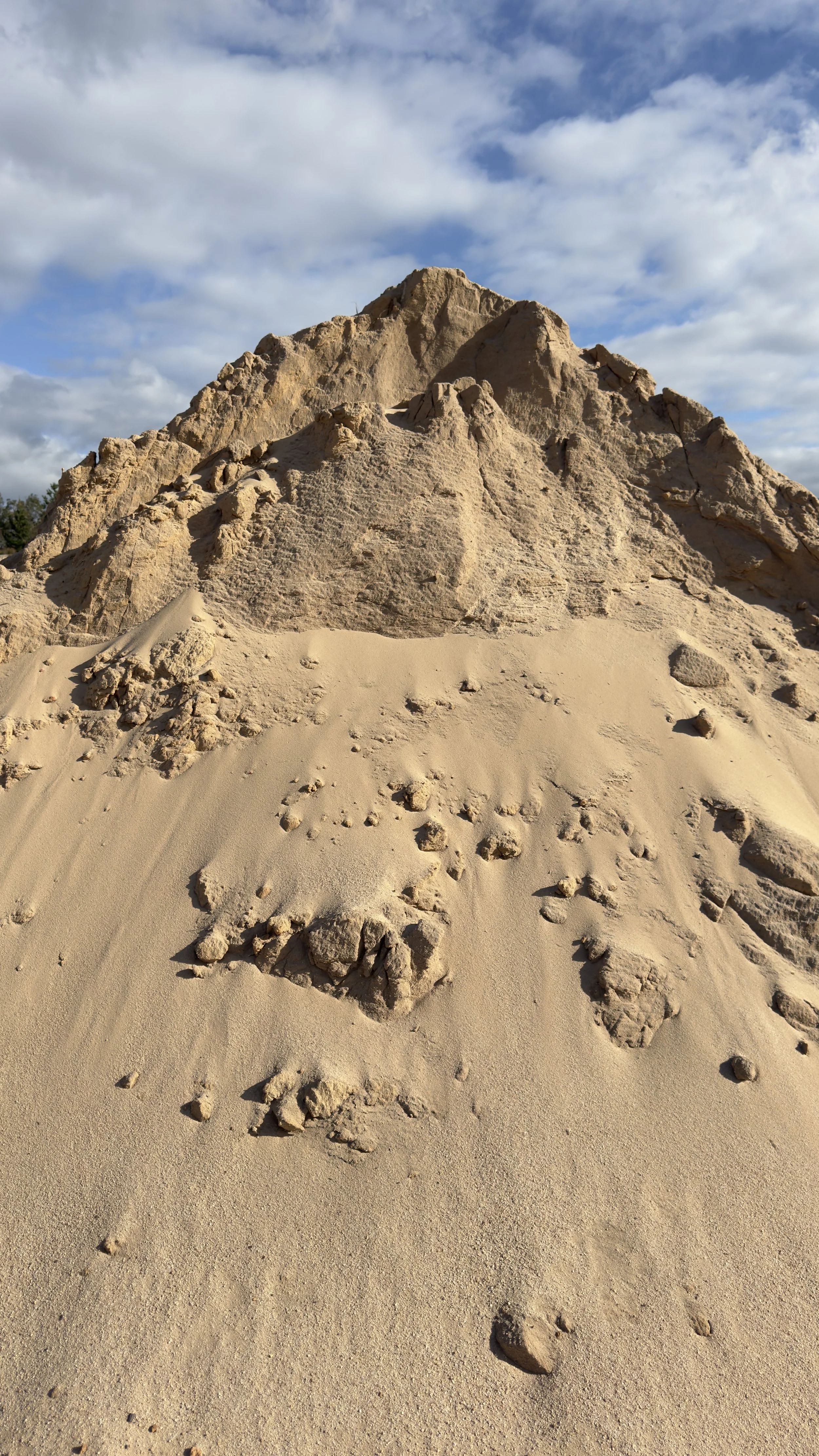 Screened Turf Sand