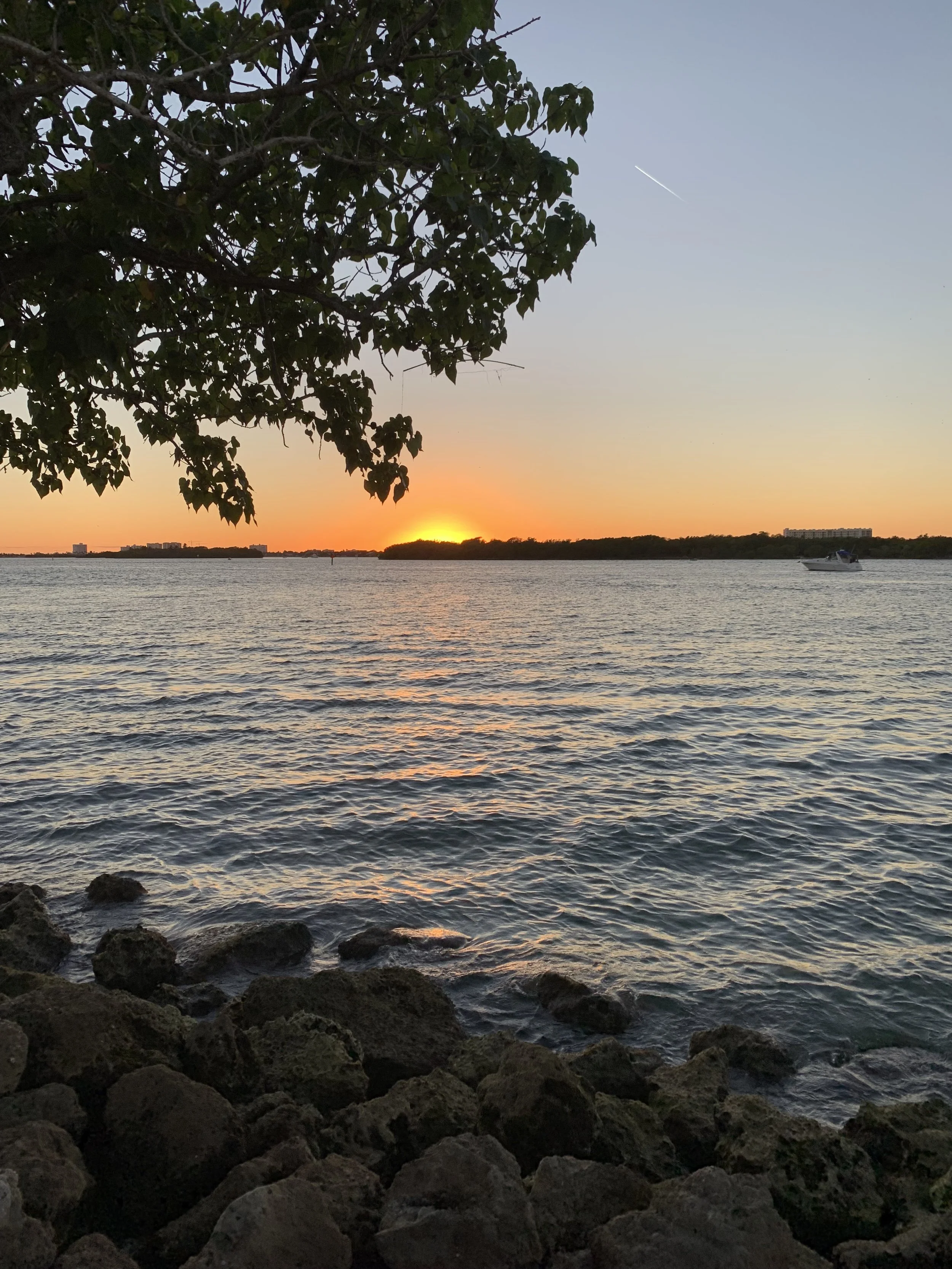 Sunset over a body of water with a boat in the distance, rocky shoreline in the foreground, and a tree with green leaves on the left side of the image.
