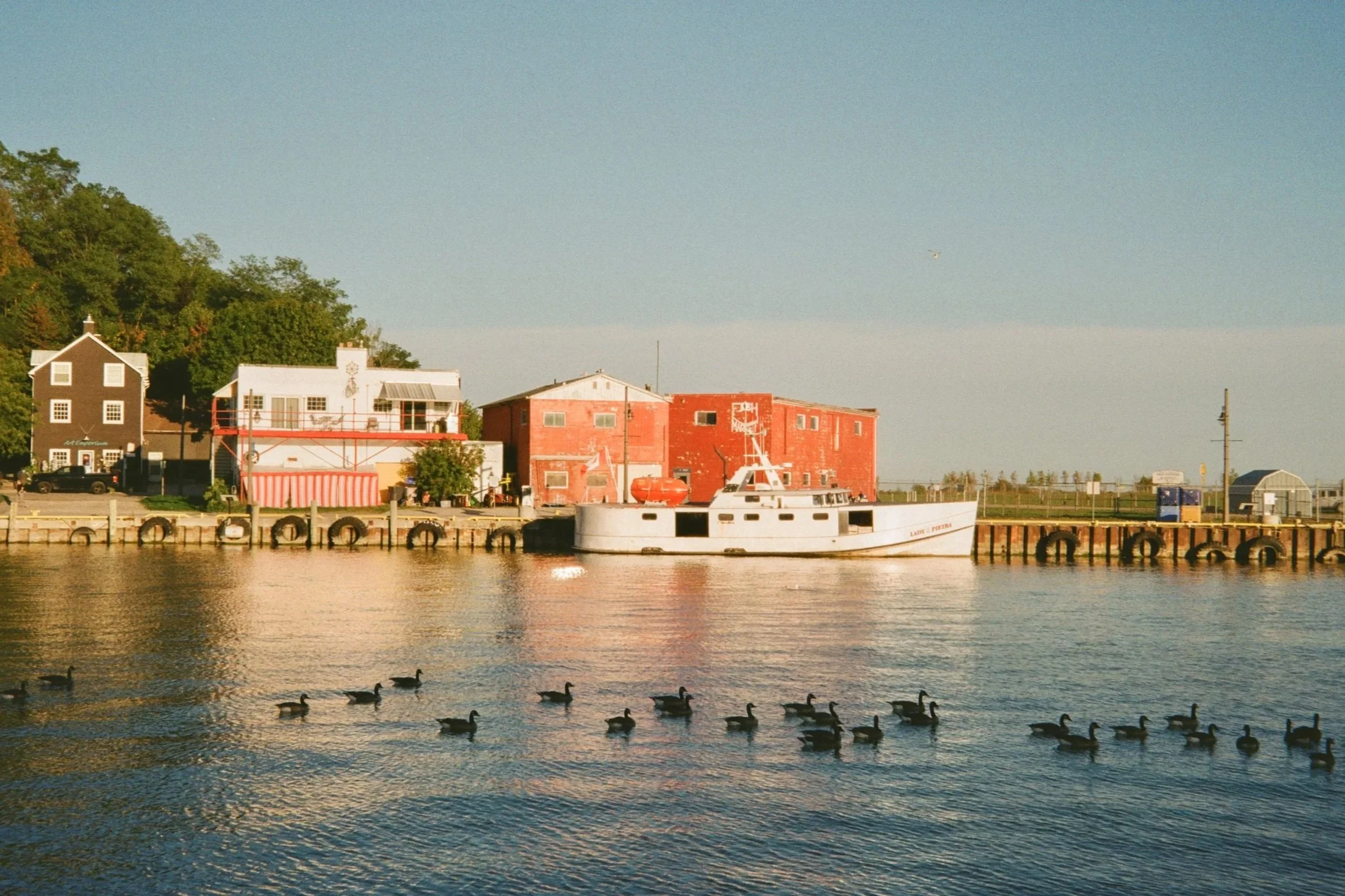 Quiet Harbour