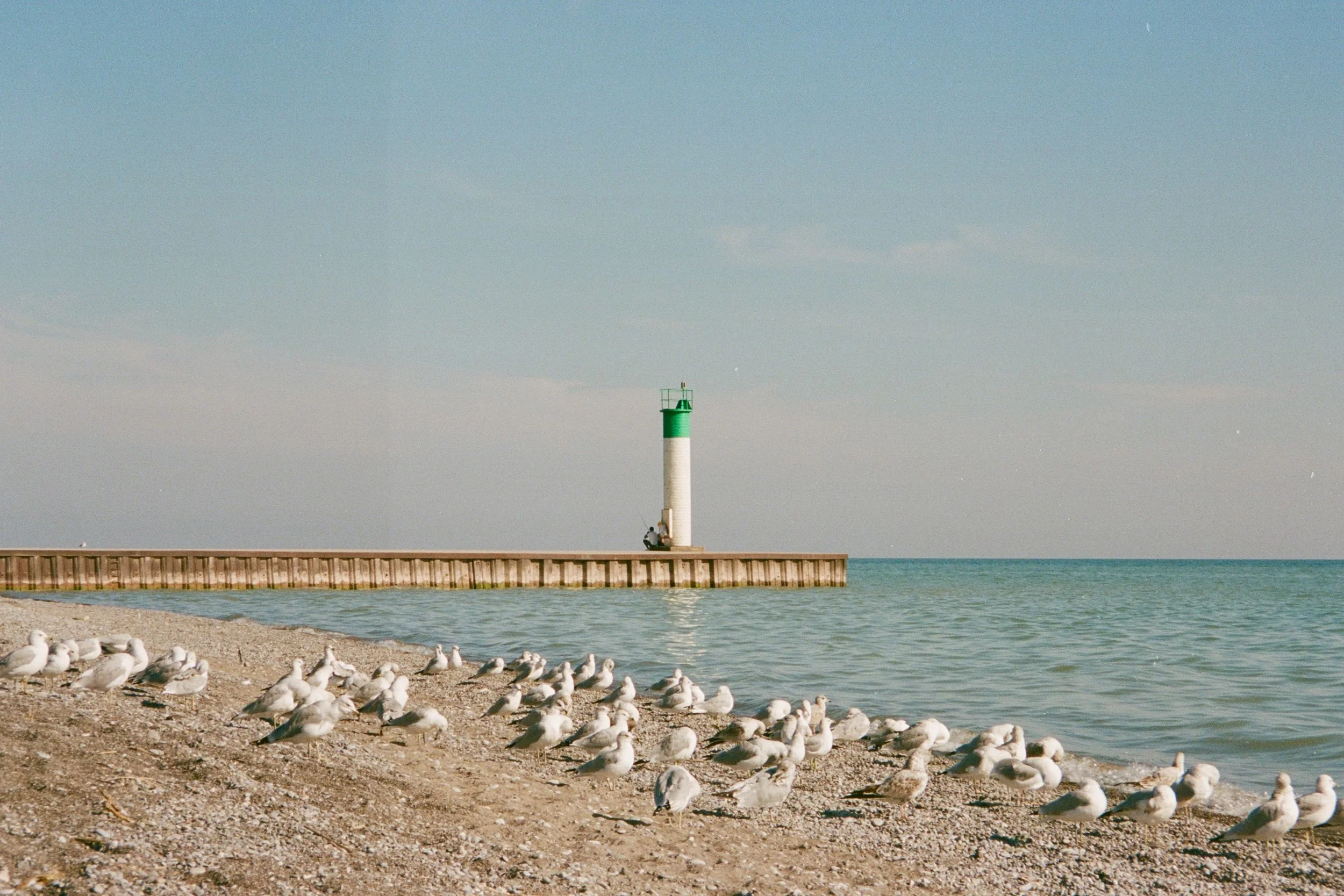 Along the Shore