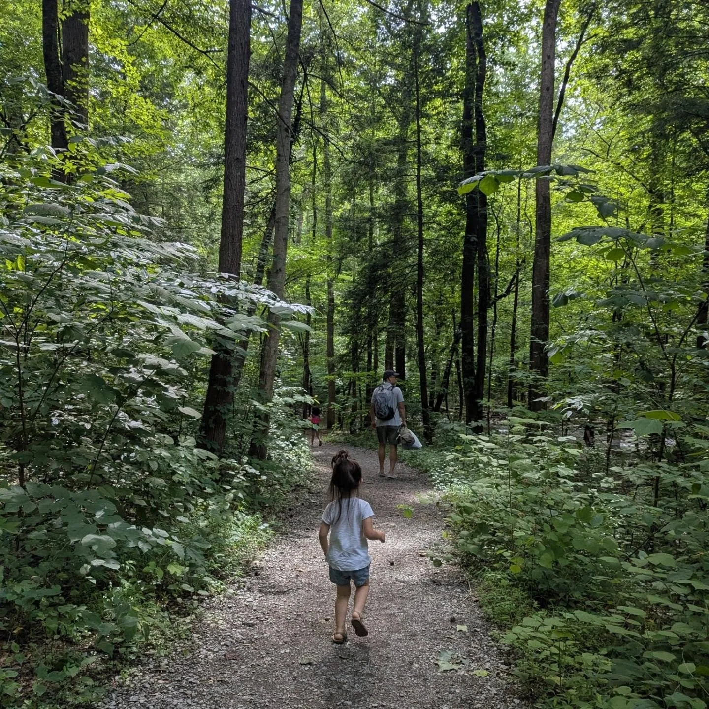 Vacation photo dump!
-
We just got back from a family vacay, spending two days in the #smokymountains, then four days in #myrtlebeach, and one day in #atlanta!
-
I'm almost always in the back when we go walking, which makes for some sweet photographs