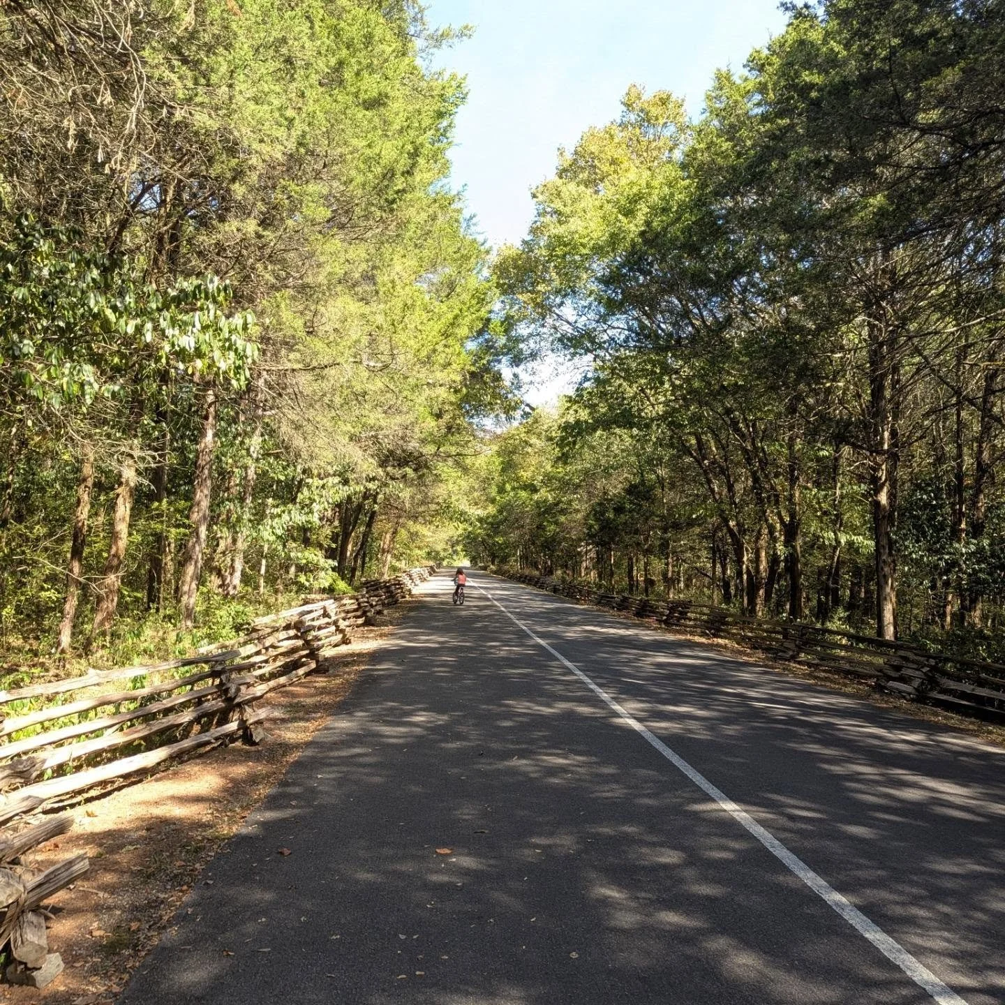 I have always been slow. But the view from the back has its perks. I love watching my kiddo speed ahead of me. &hearts;️🍂 #autumn #fall #earlyfall #latesummer #bikeride