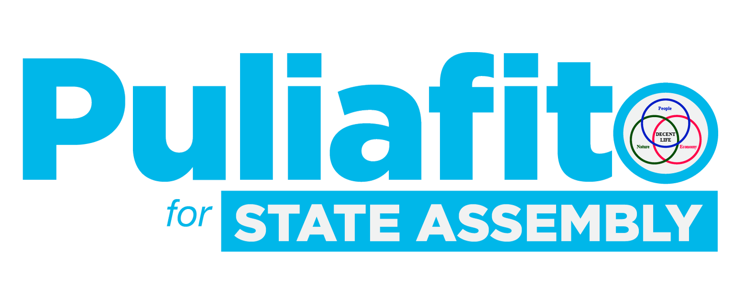 Lou Puliafito for NY State Assembly 76AD