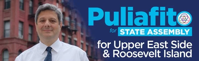 Lou Puliafito for NY State Assembly 76AD