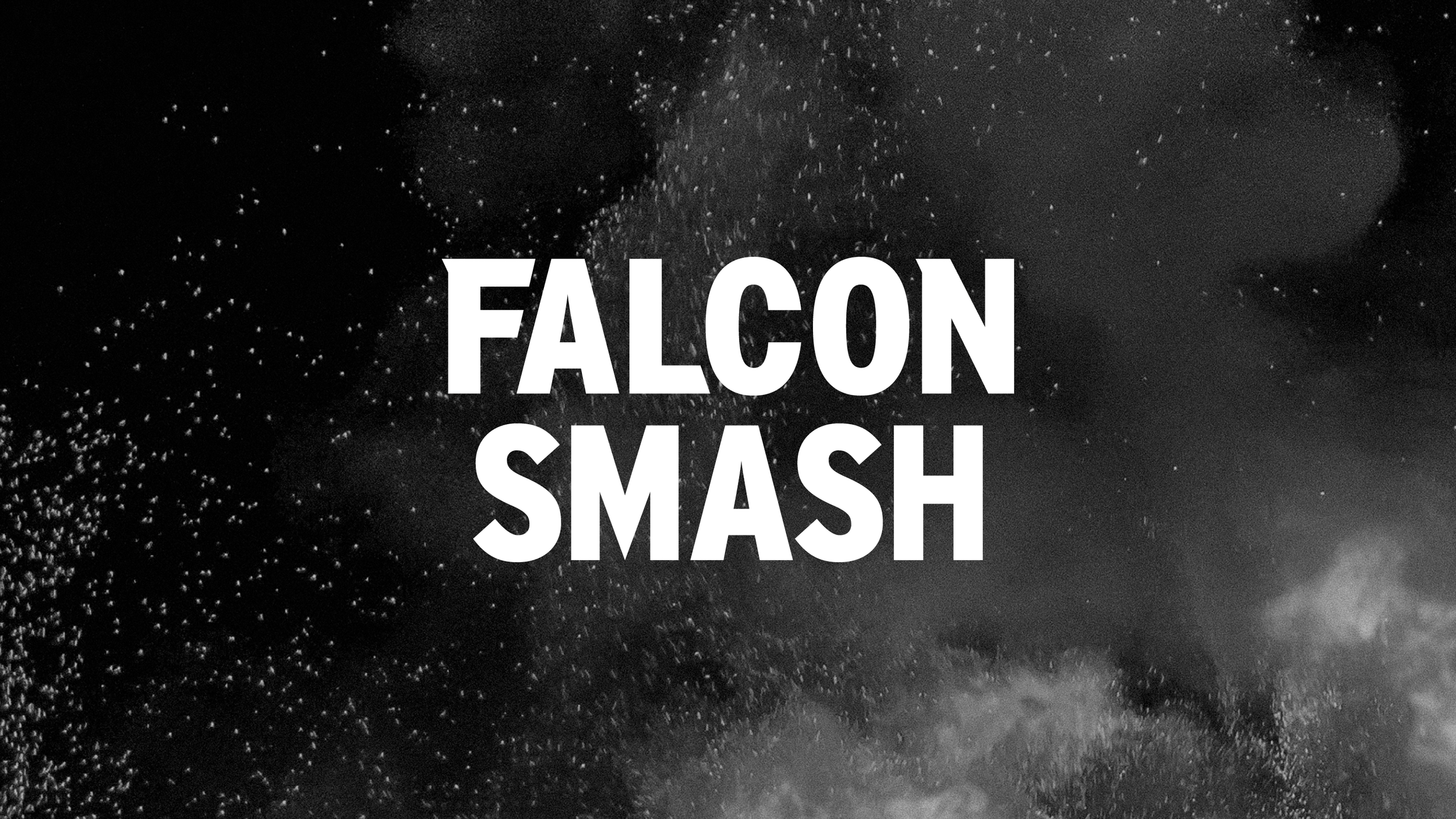 FalconSmash_Logotype_White.png