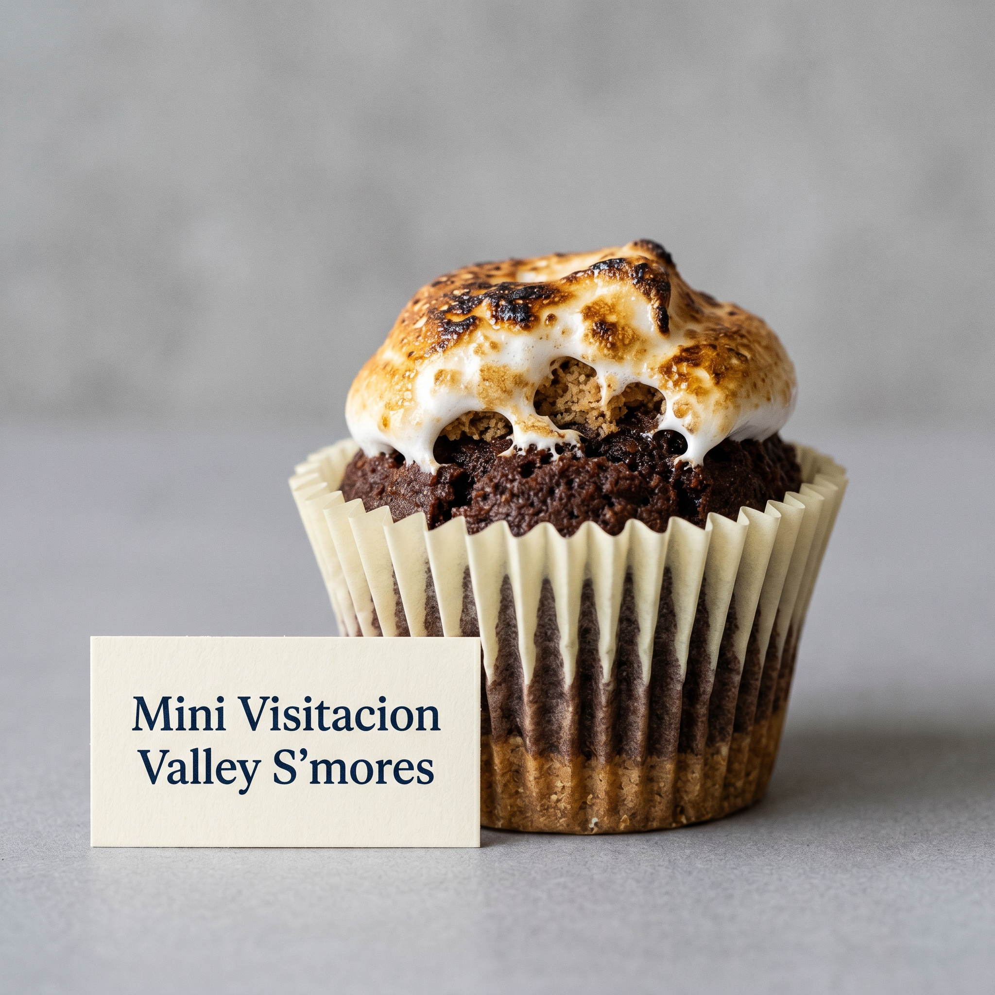 Mini_Visitacion_Valley_S_mores_kpqujx.png