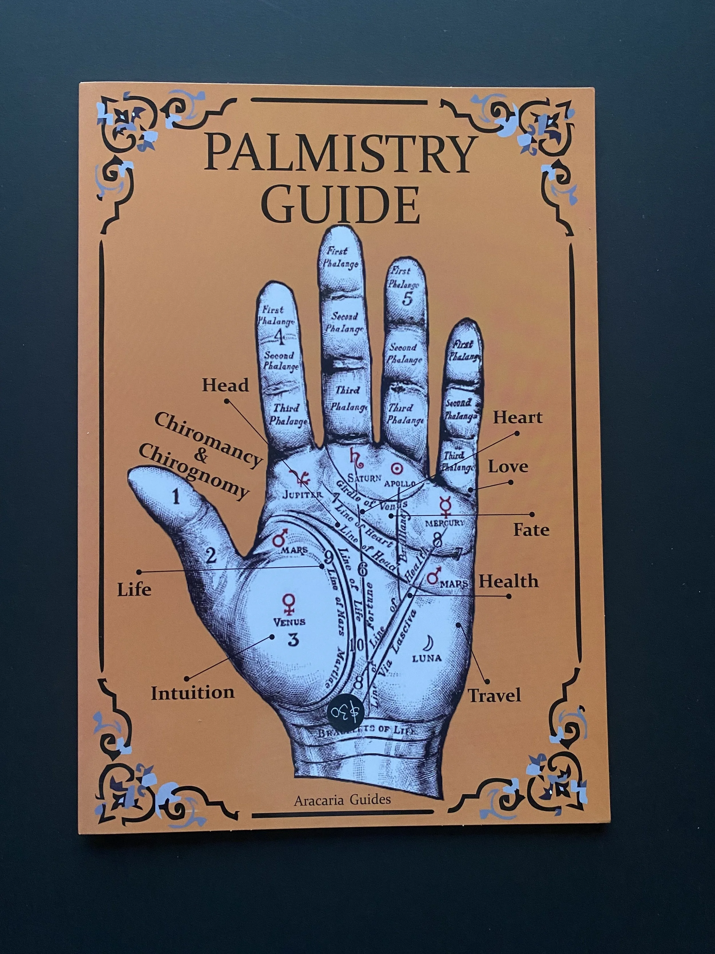 Palmistry Guide