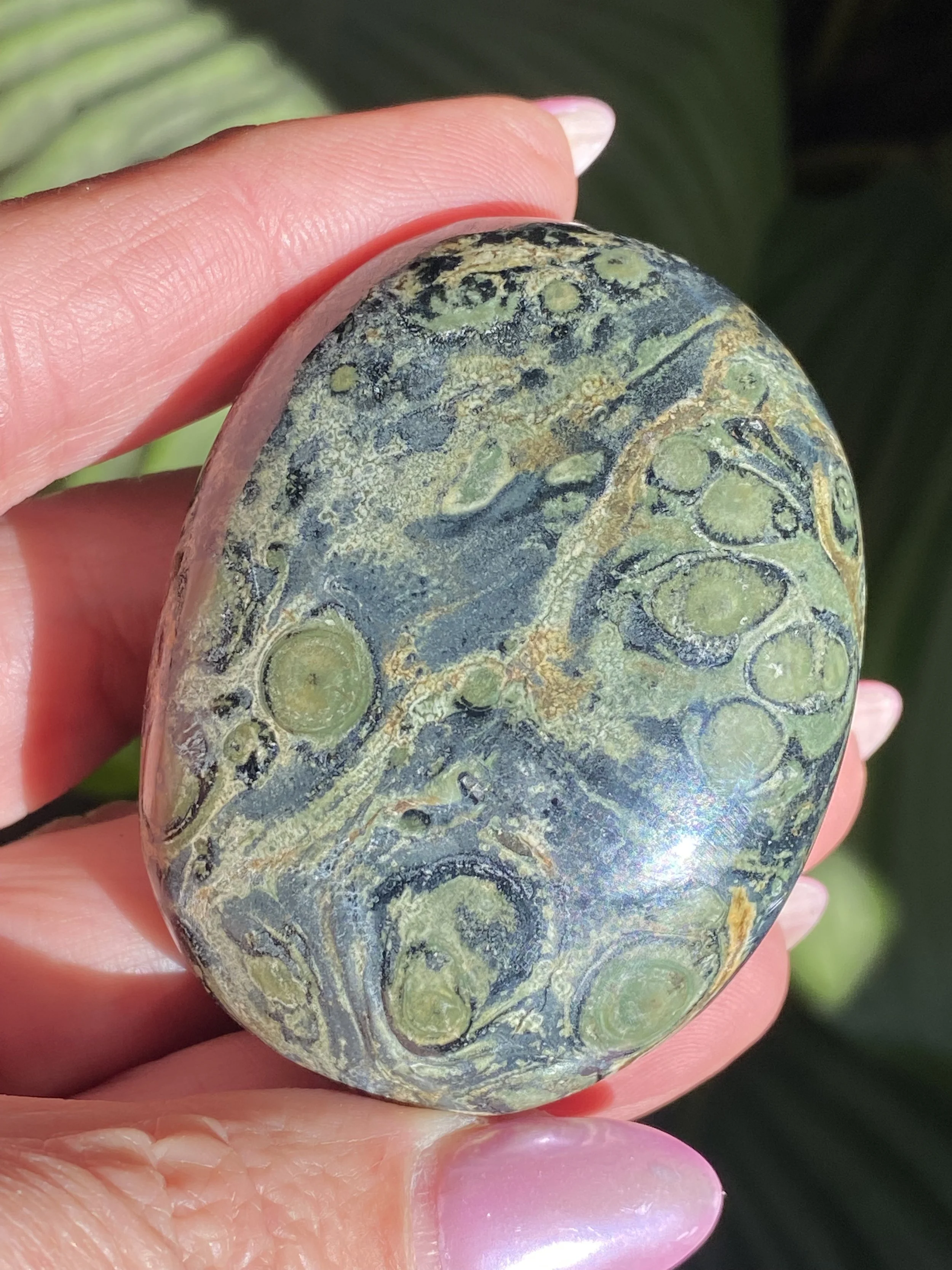 Kambaba Palm Stone